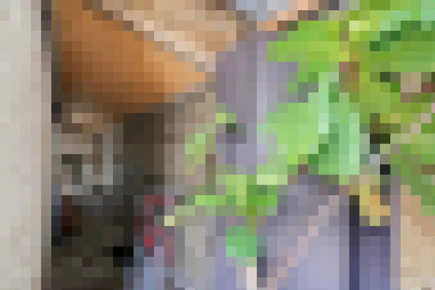 Druivenlaan 4 Alkmaar thumbnail 35