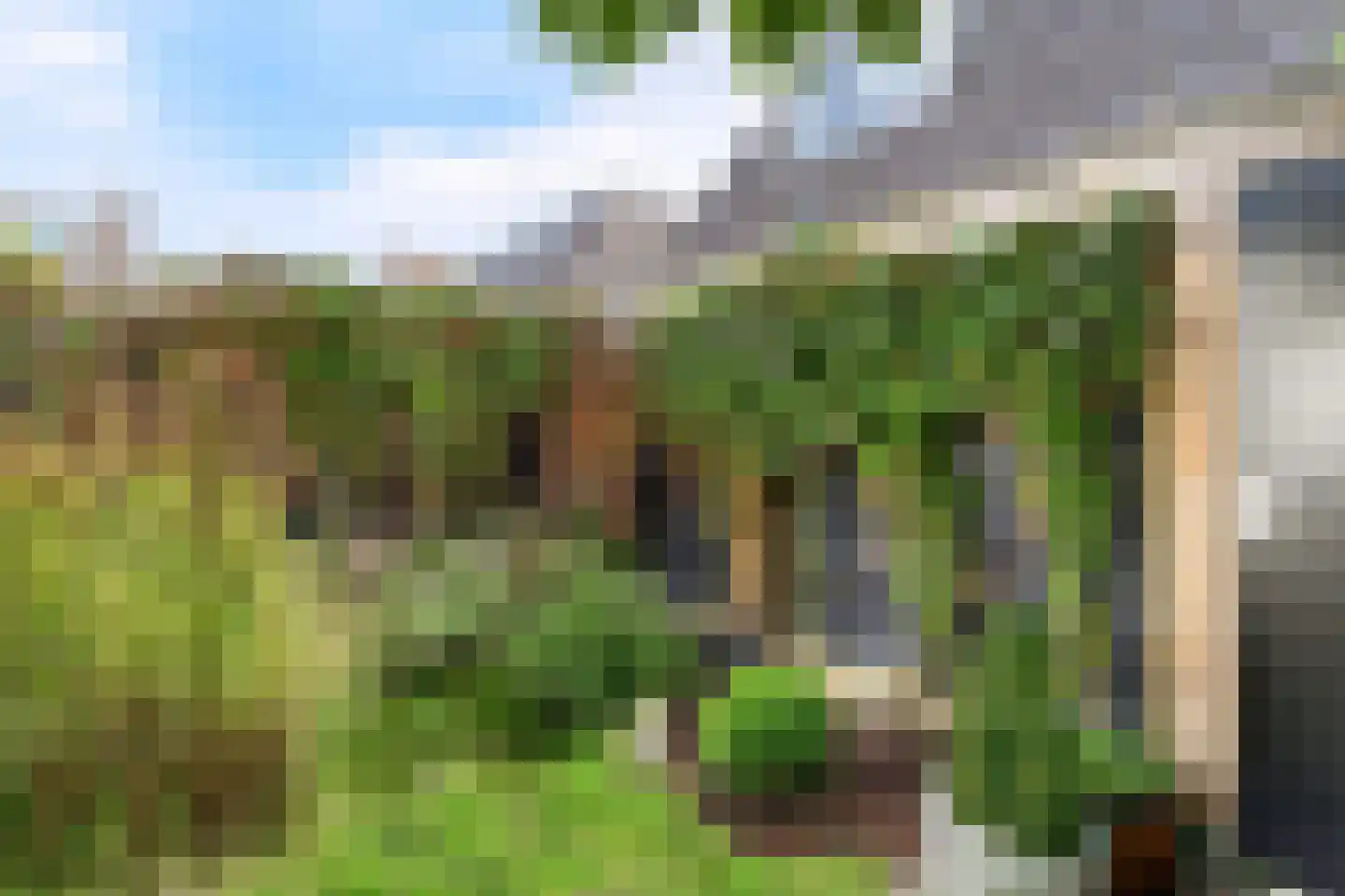 Druivenlaan 4 Alkmaar thumbnail 4