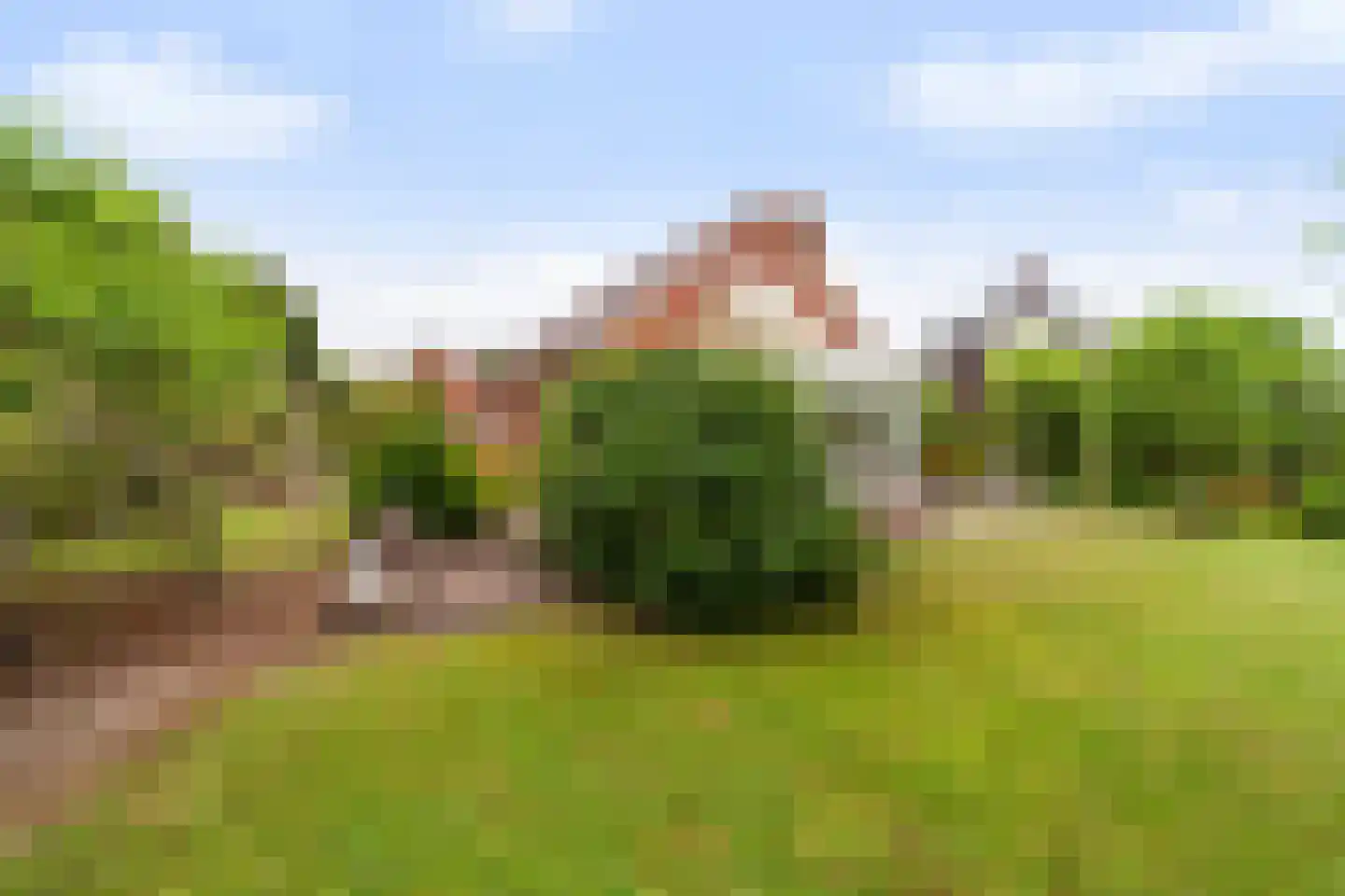 Druivenlaan 4 Den Haag thumbnail 10