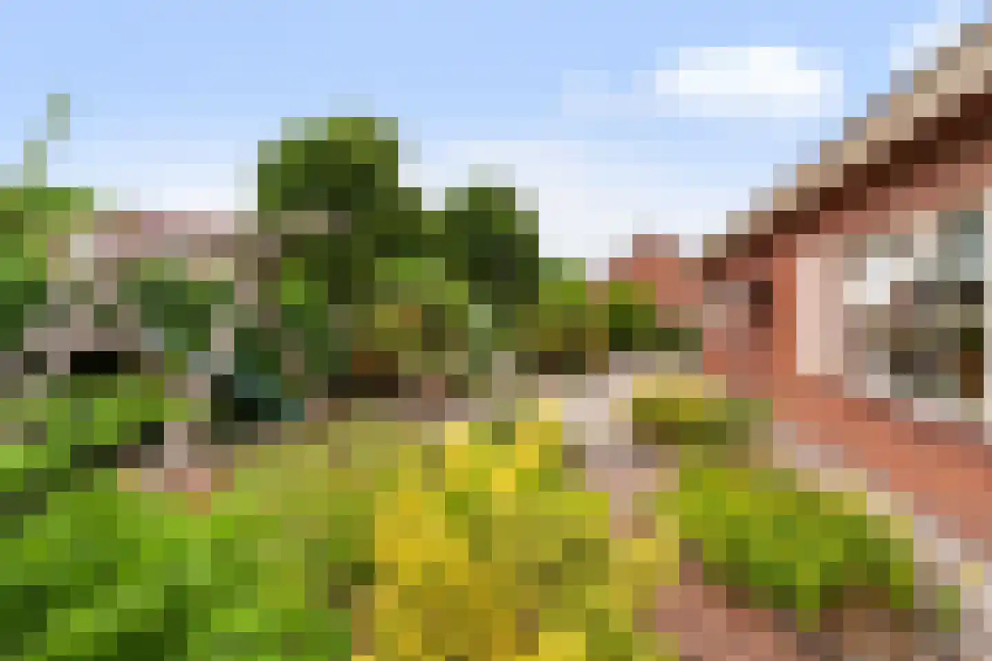 Druivenlaan 4 Den Haag thumbnail 11