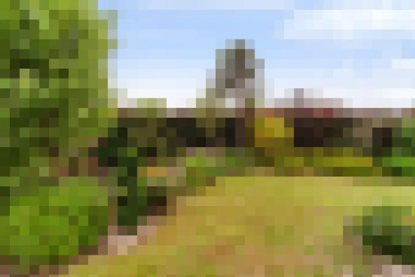 Druivenlaan 4 Den Haag thumbnail 14