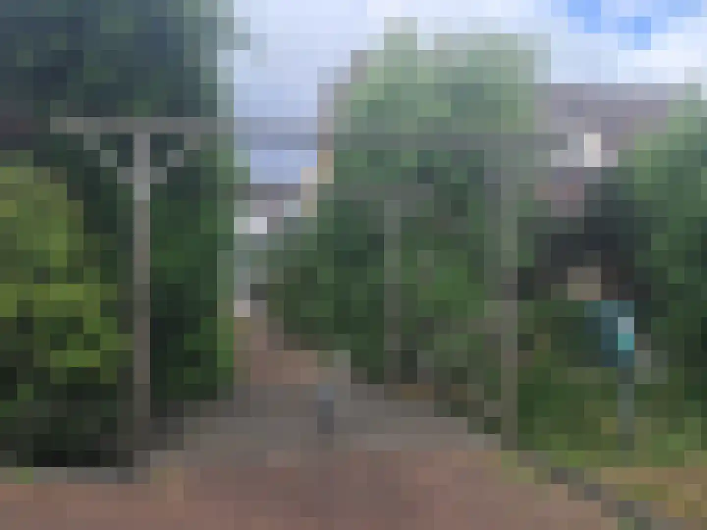 Druivenlaan 4 Den Haag thumbnail 15