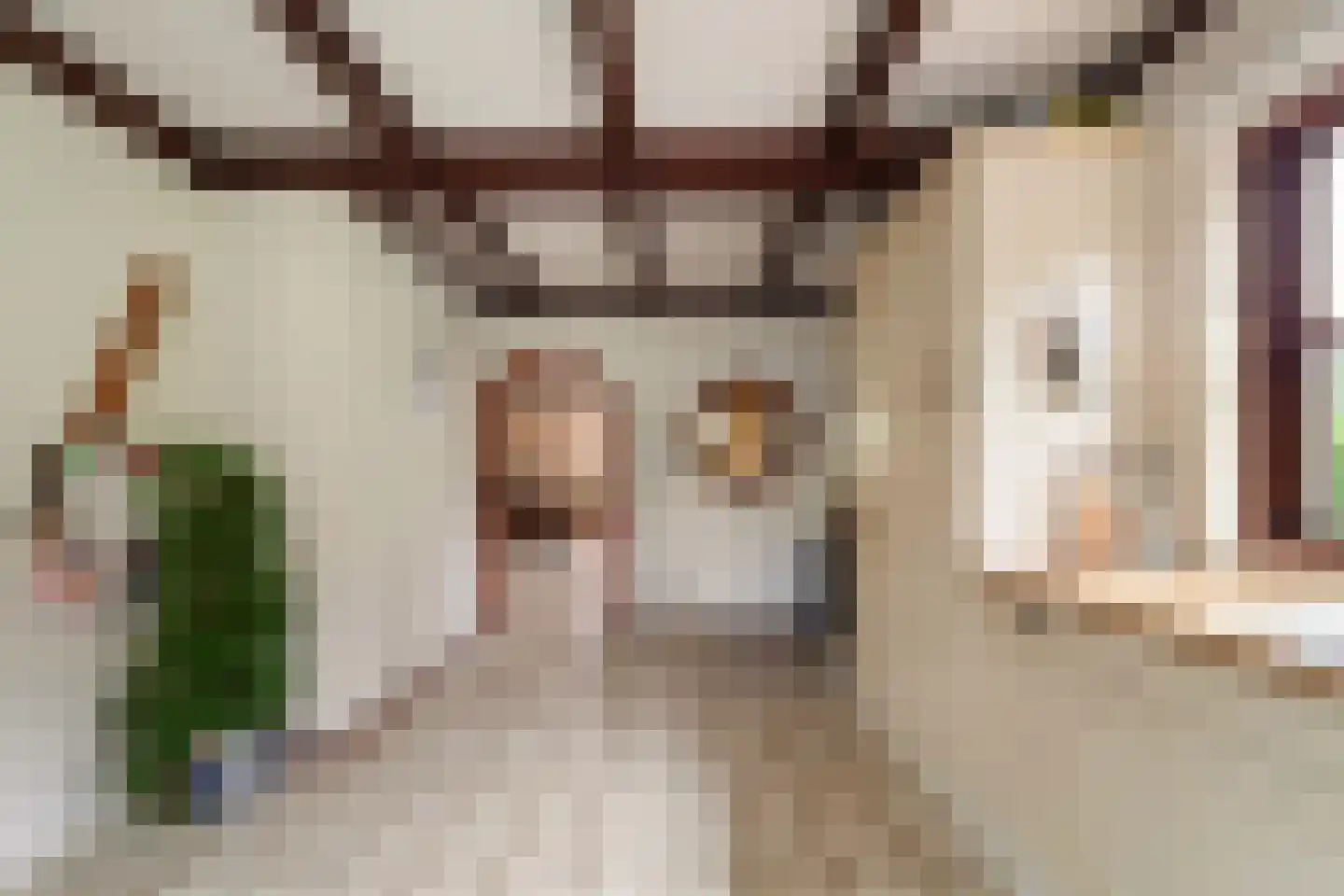 Druivenlaan 4 Den Haag thumbnail 26