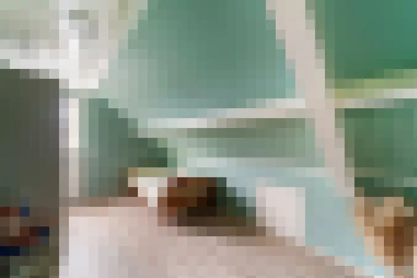 Druivenlaan 4 Den Haag thumbnail 30