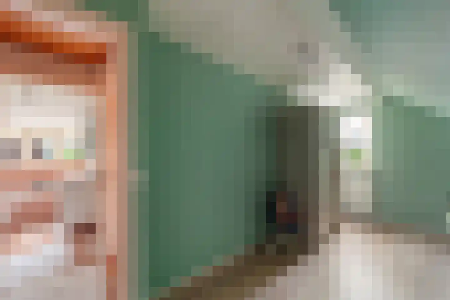 Druivenlaan 4 Den Haag thumbnail 31