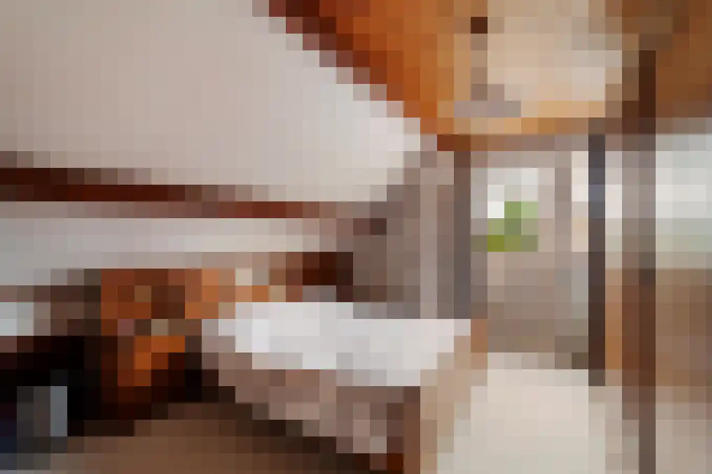 Druivenlaan 4 Den Haag thumbnail 34