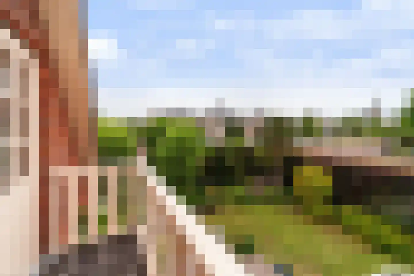 Druivenlaan 4 Den Haag thumbnail 36