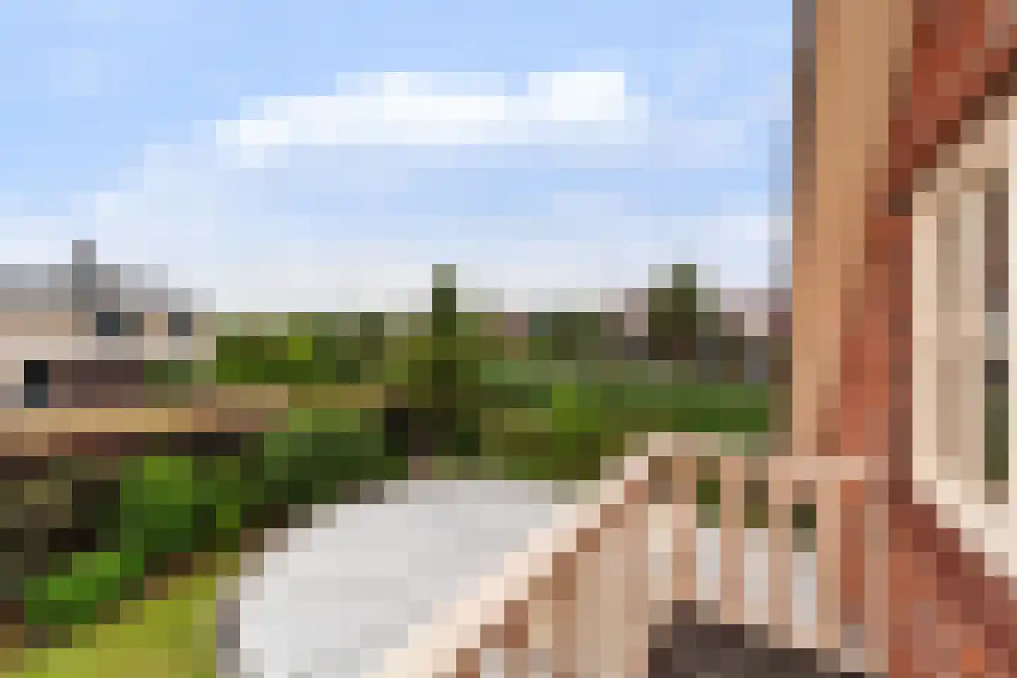 Druivenlaan 4 Den Haag thumbnail 37
