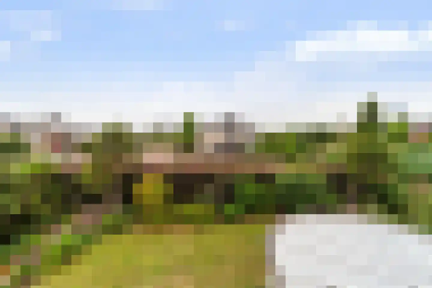 Druivenlaan 4 Den Haag thumbnail 38
