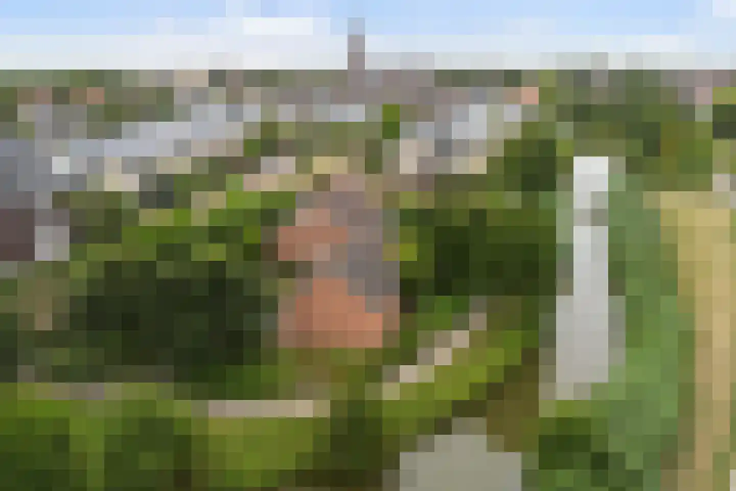 Druivenlaan 4 Den Haag thumbnail 42