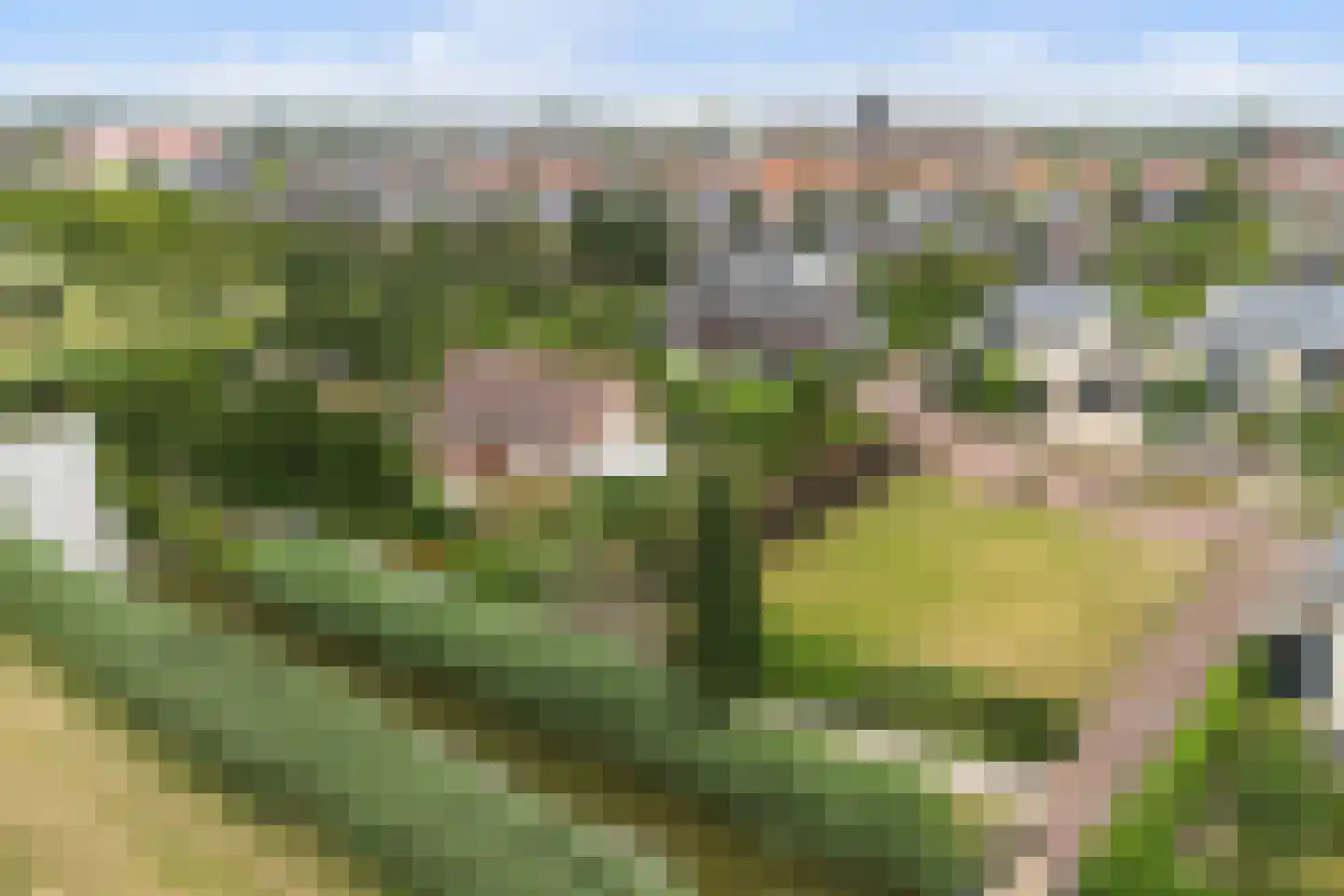 Druivenlaan 4 Den Haag thumbnail 43