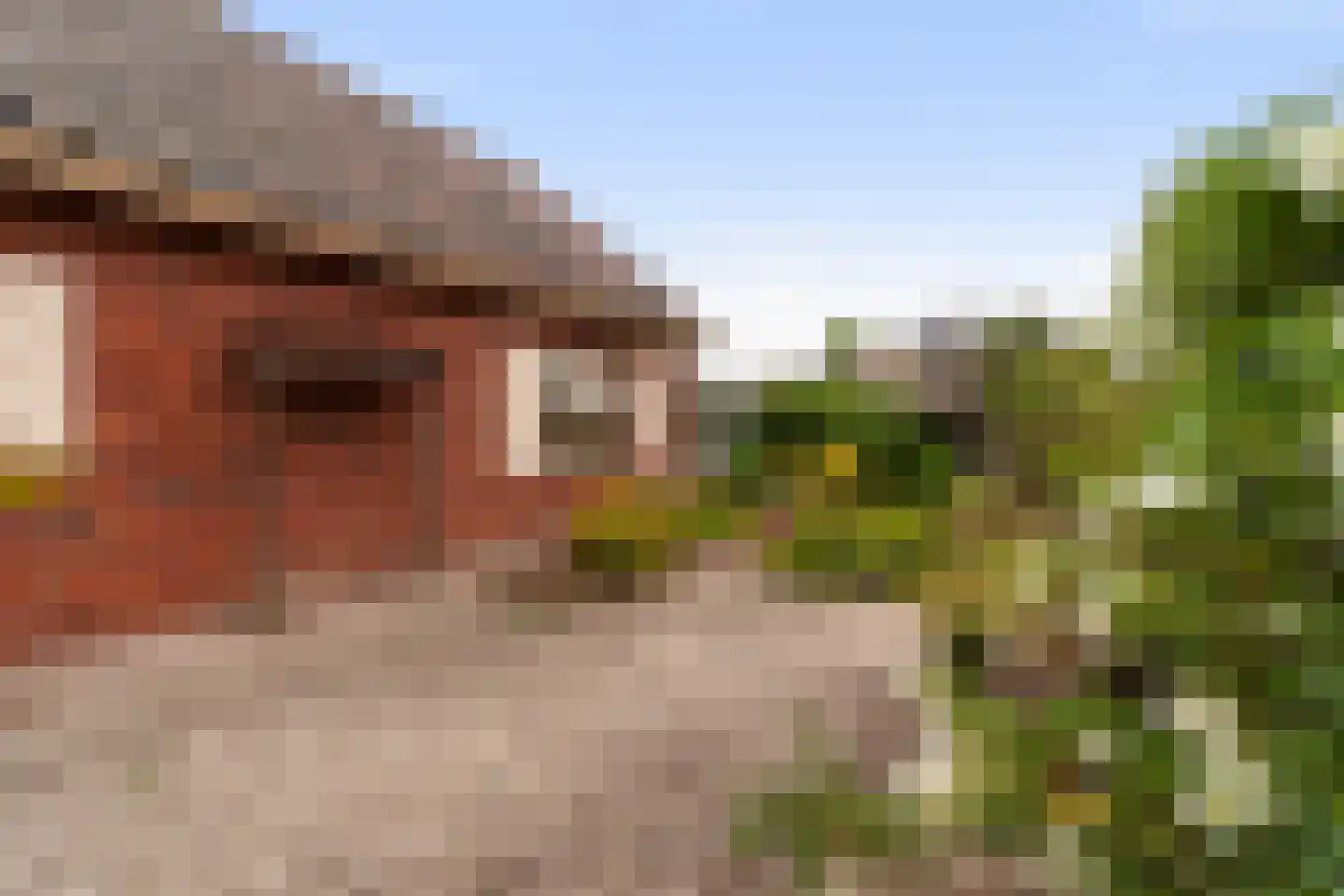 Druivenlaan 4 Den Haag thumbnail 44