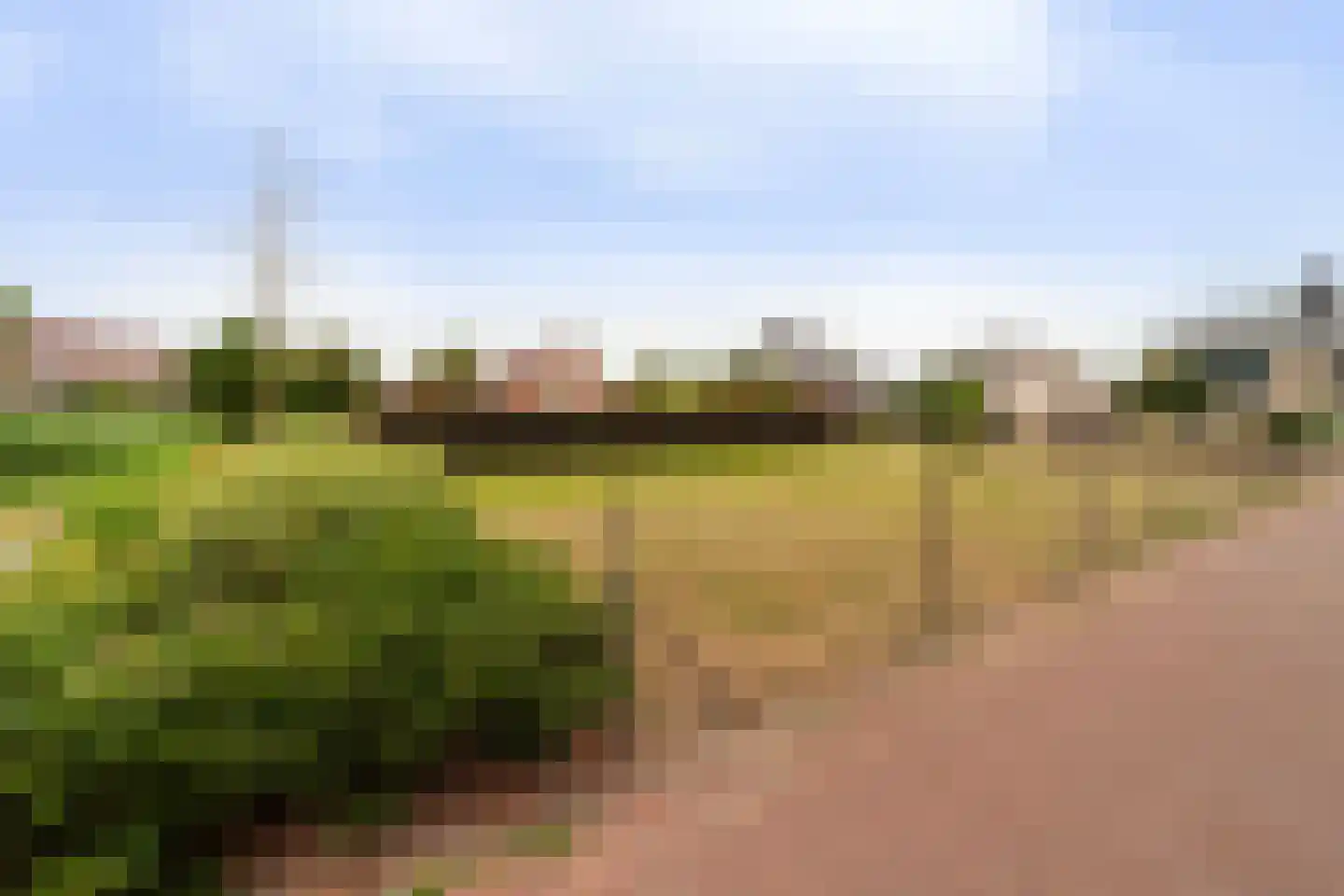 Druivenlaan 4 Den Haag thumbnail 47