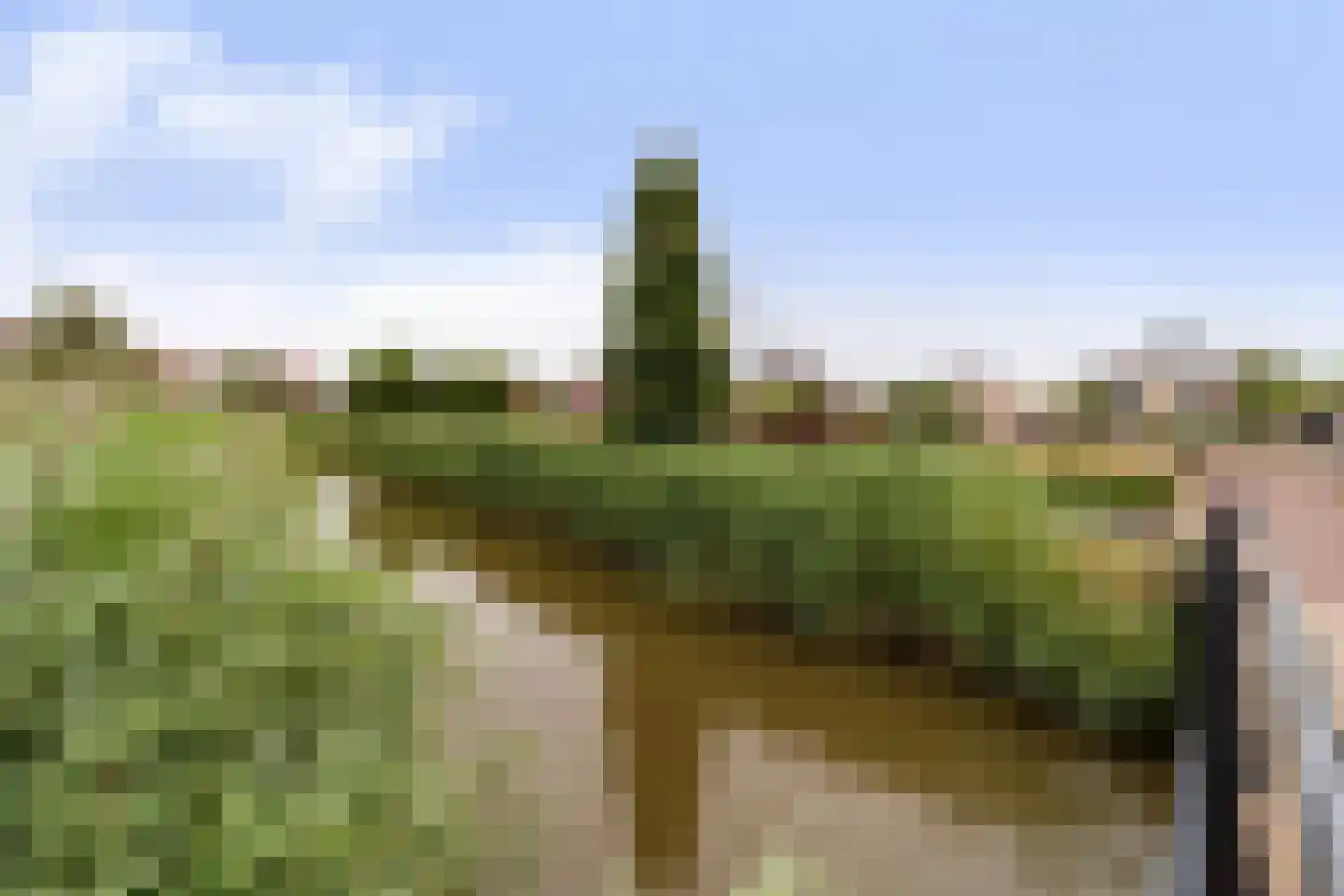 Druivenlaan 4 Den Haag thumbnail 48