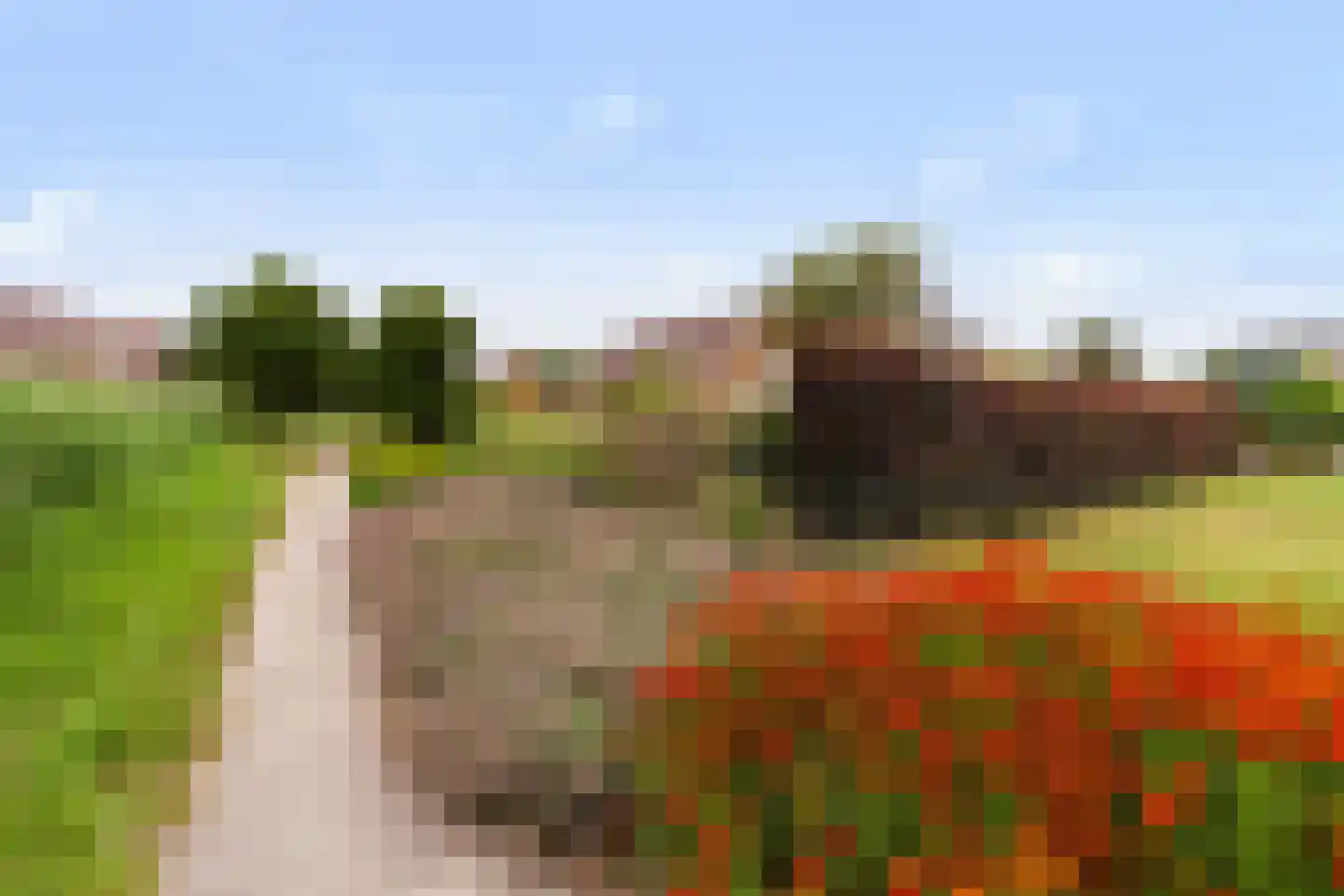Druivenlaan 4 Den Haag thumbnail 49