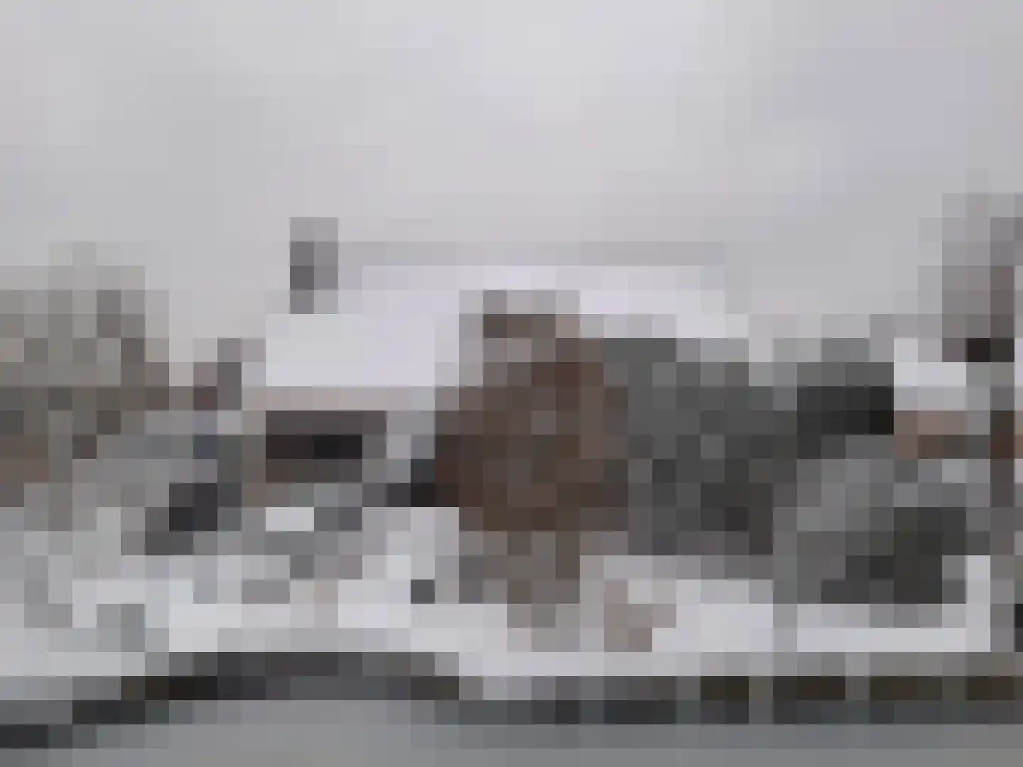 Druivenlaan 4 Den Haag thumbnail 51