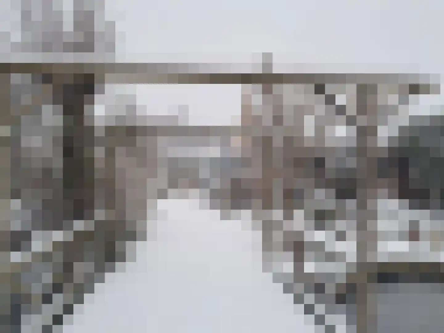 Druivenlaan 4 Den Haag thumbnail 52