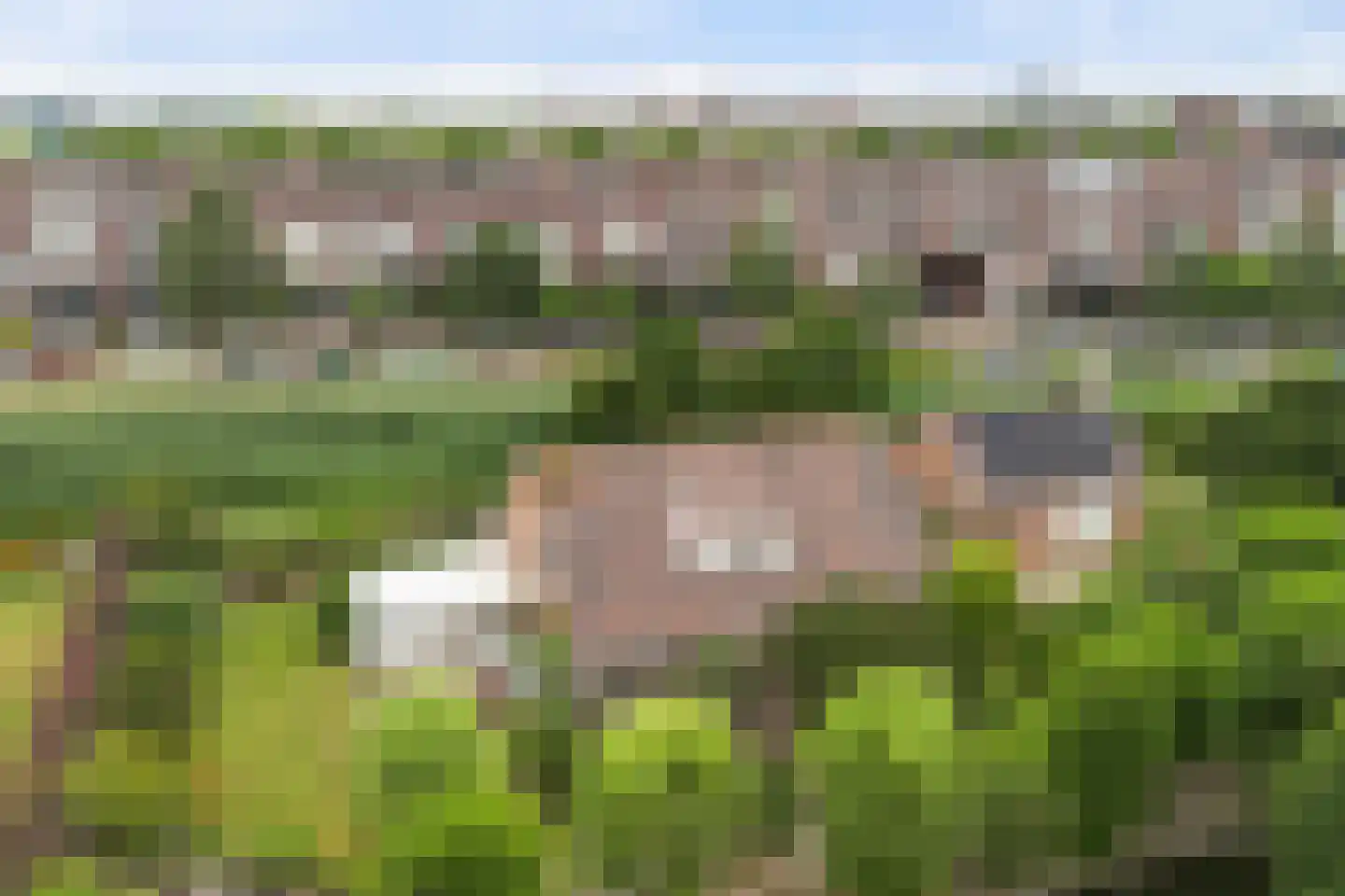 Druivenlaan 4 Den Haag thumbnail 8