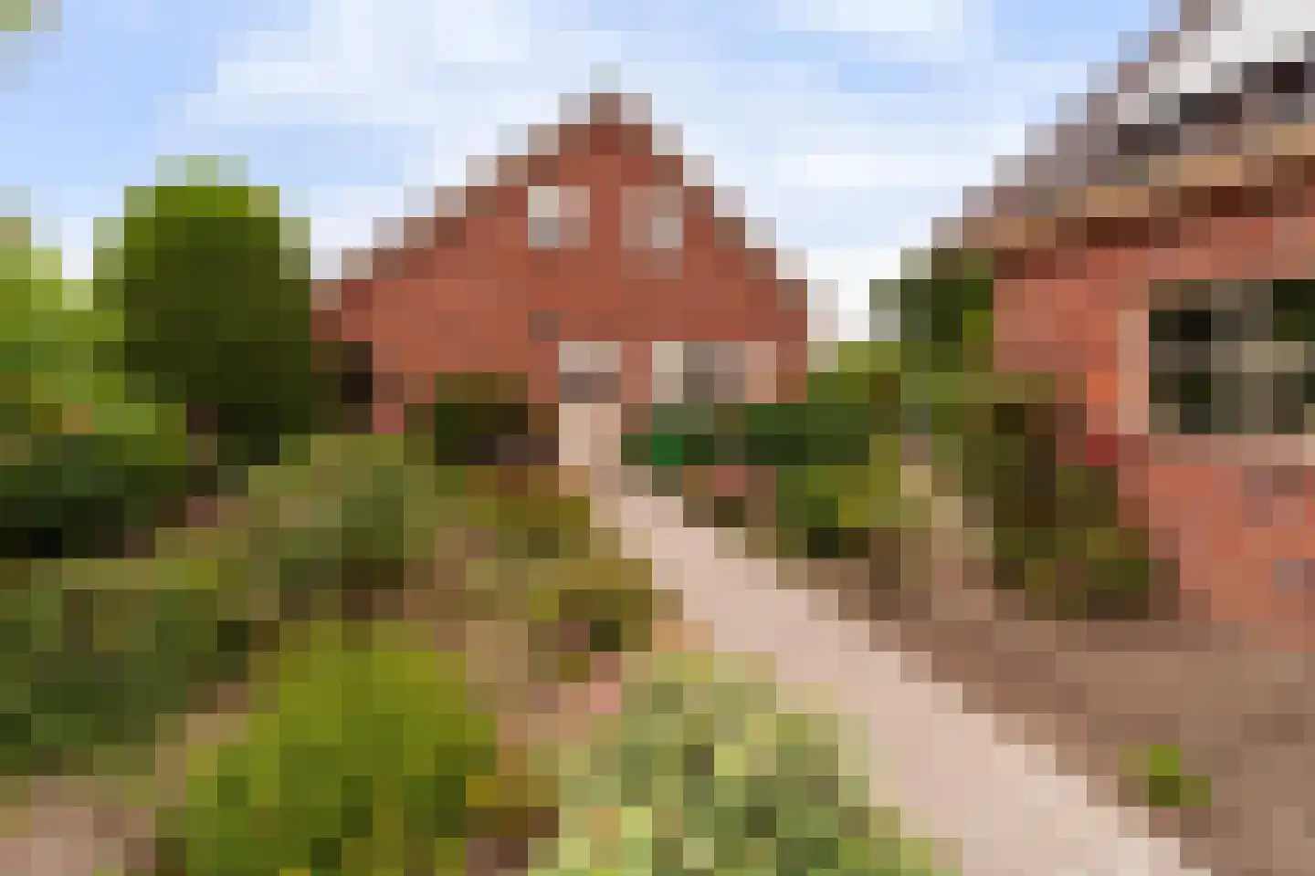 Druivenlaan 4 Den Haag thumbnail 9
