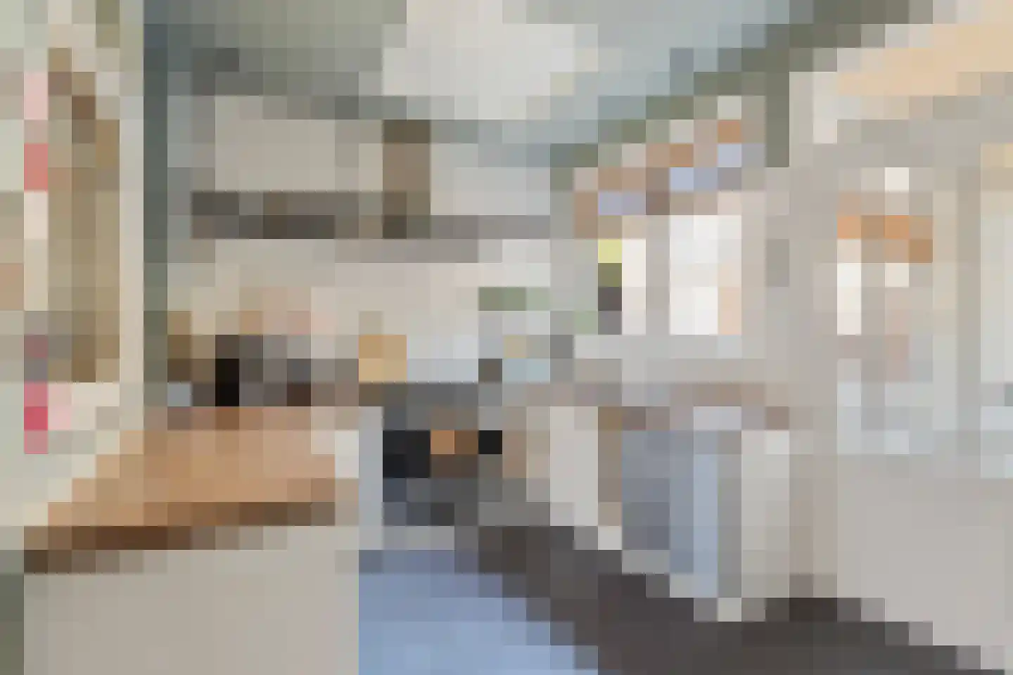 Druivenlaan 40 Alkmaar thumbnail 10