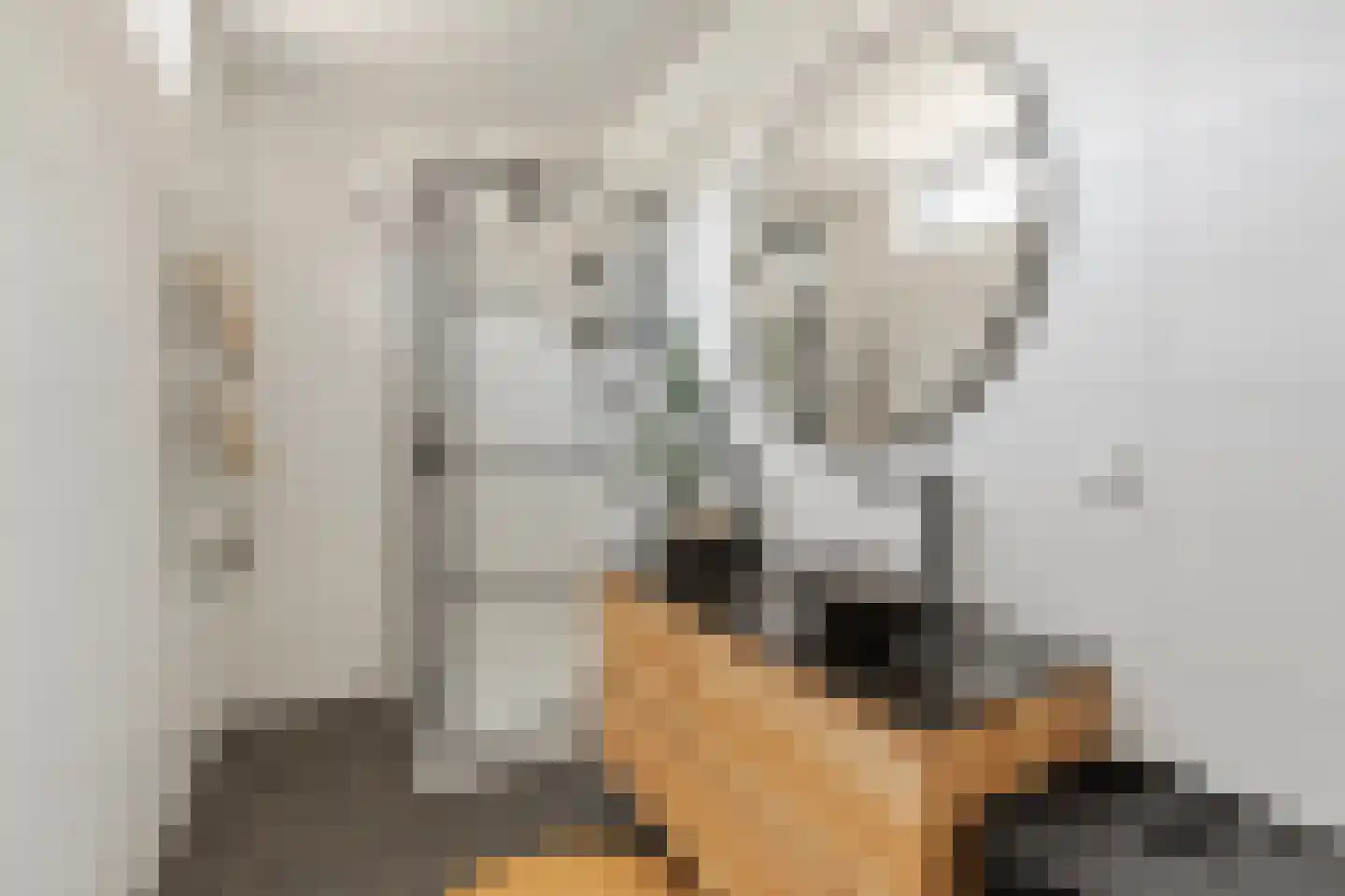 Druivenlaan 40 Alkmaar thumbnail 14