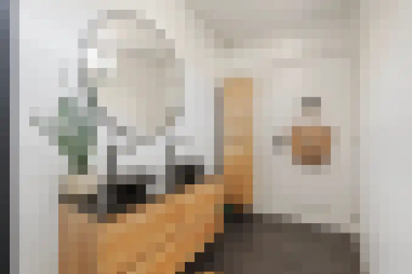 Druivenlaan 40 Alkmaar thumbnail 15