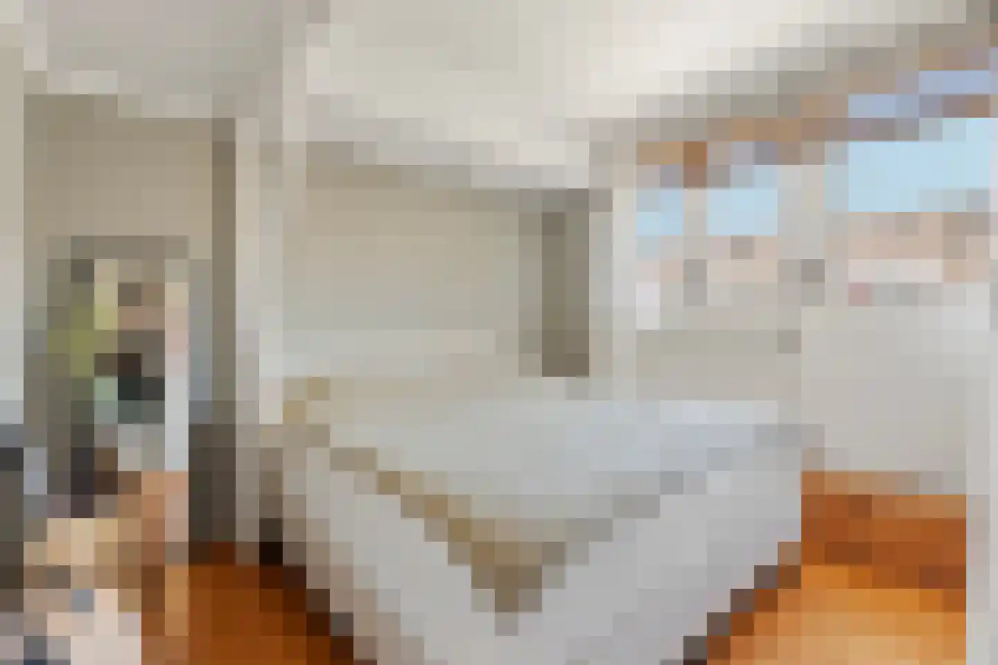 Druivenlaan 40 Alkmaar thumbnail 18