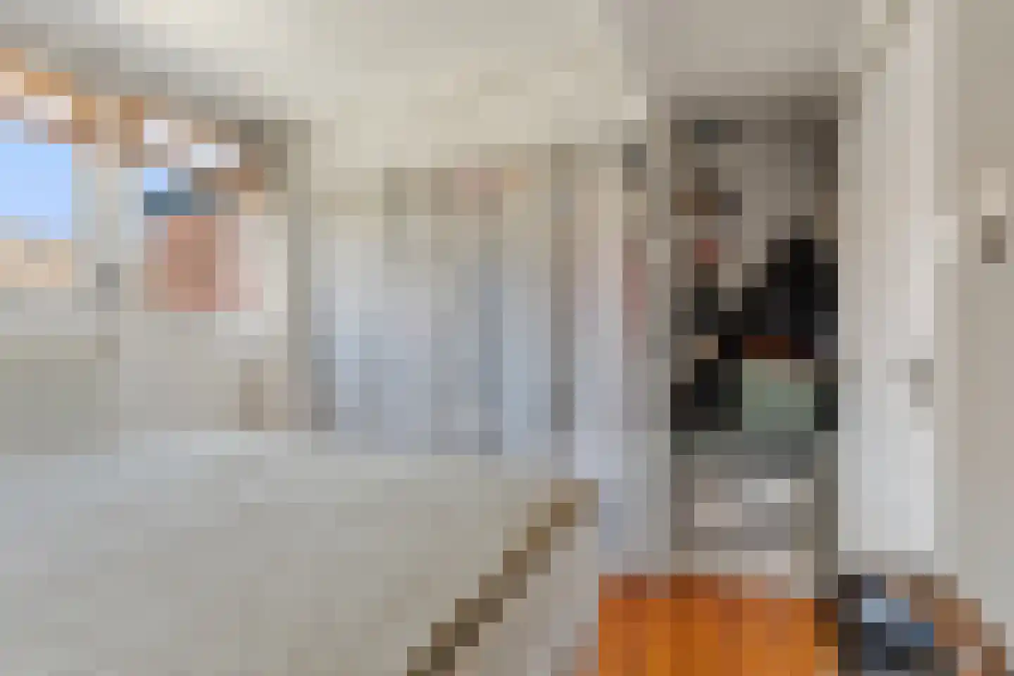 Druivenlaan 40 Alkmaar thumbnail 19