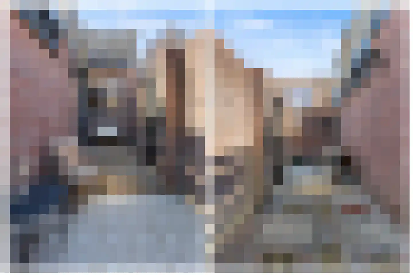 Druivenlaan 40 Alkmaar thumbnail 28