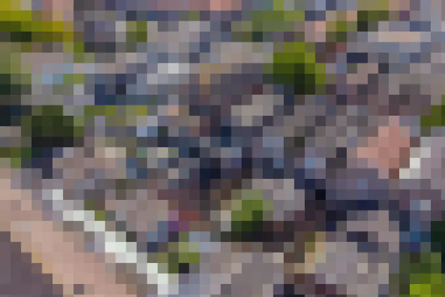 Druivenlaan 40 Alkmaar thumbnail 32