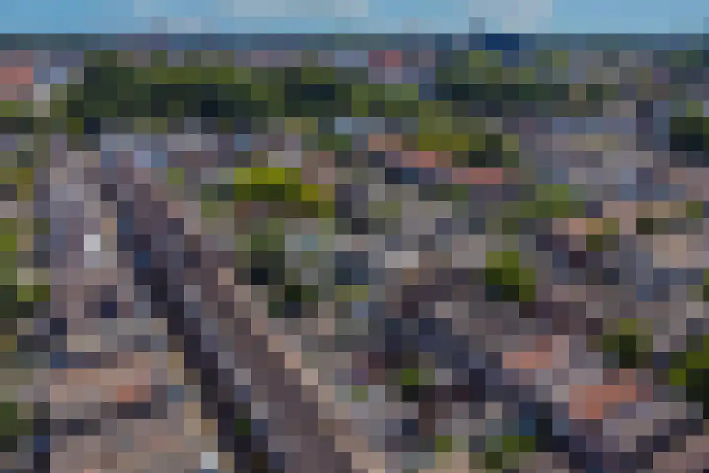 Druivenlaan 40 Alkmaar thumbnail 33