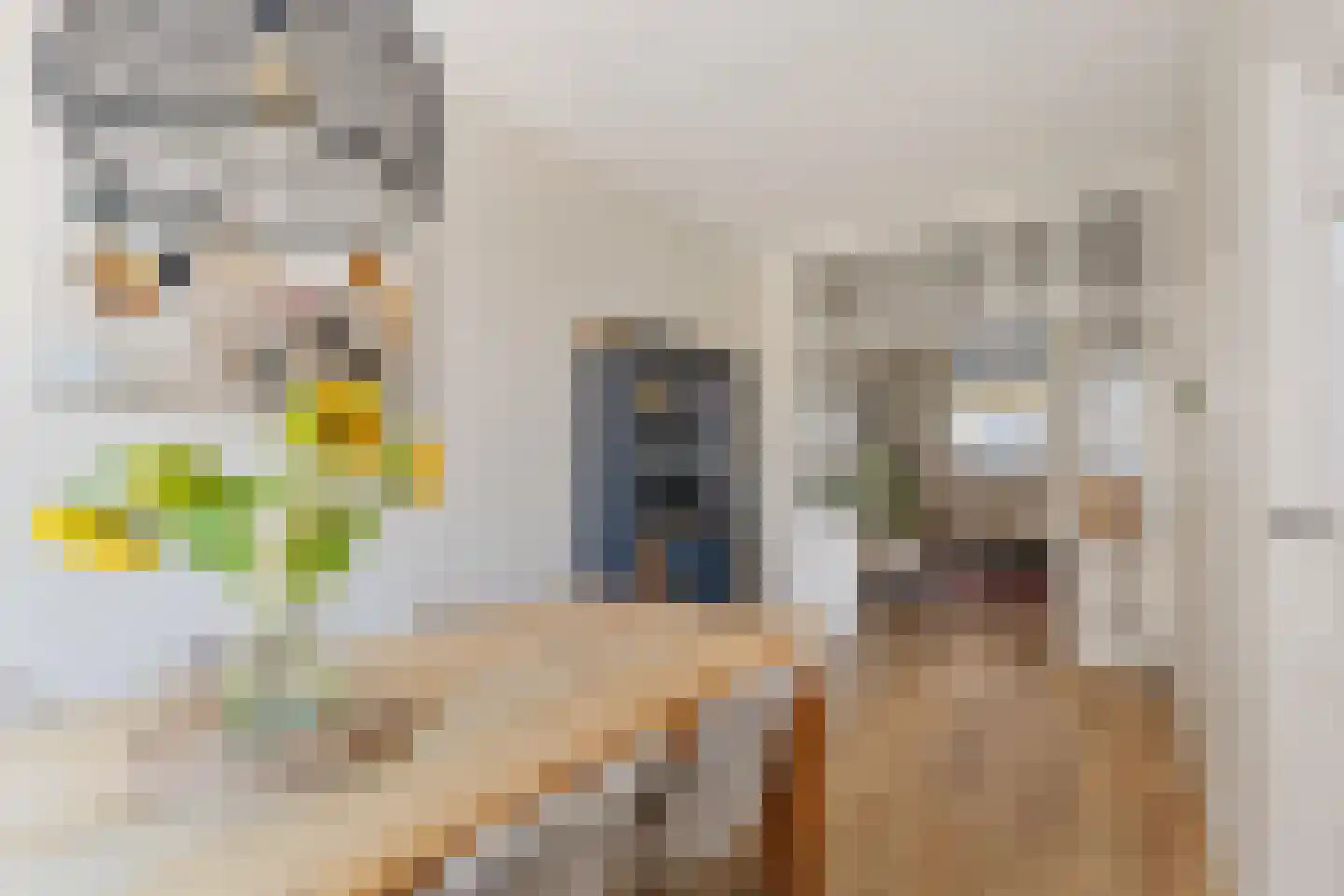 Druivenlaan 40 Alkmaar thumbnail 5