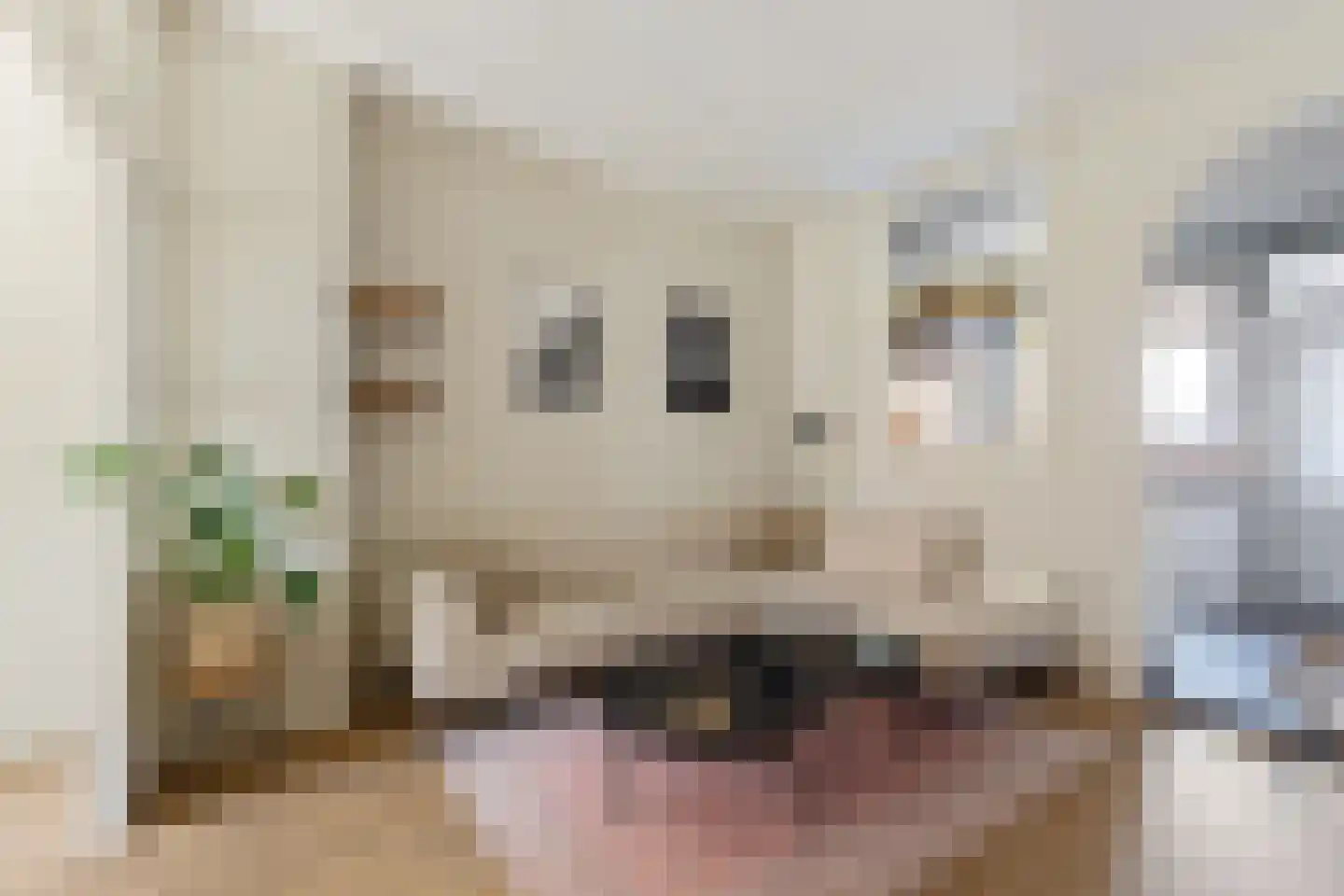 Druivenlaan 40 Alkmaar thumbnail 8