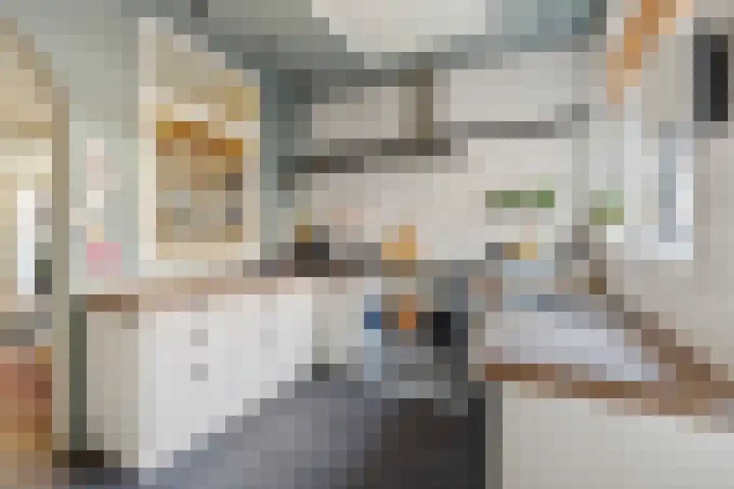 Druivenlaan 40 Alkmaar thumbnail 9