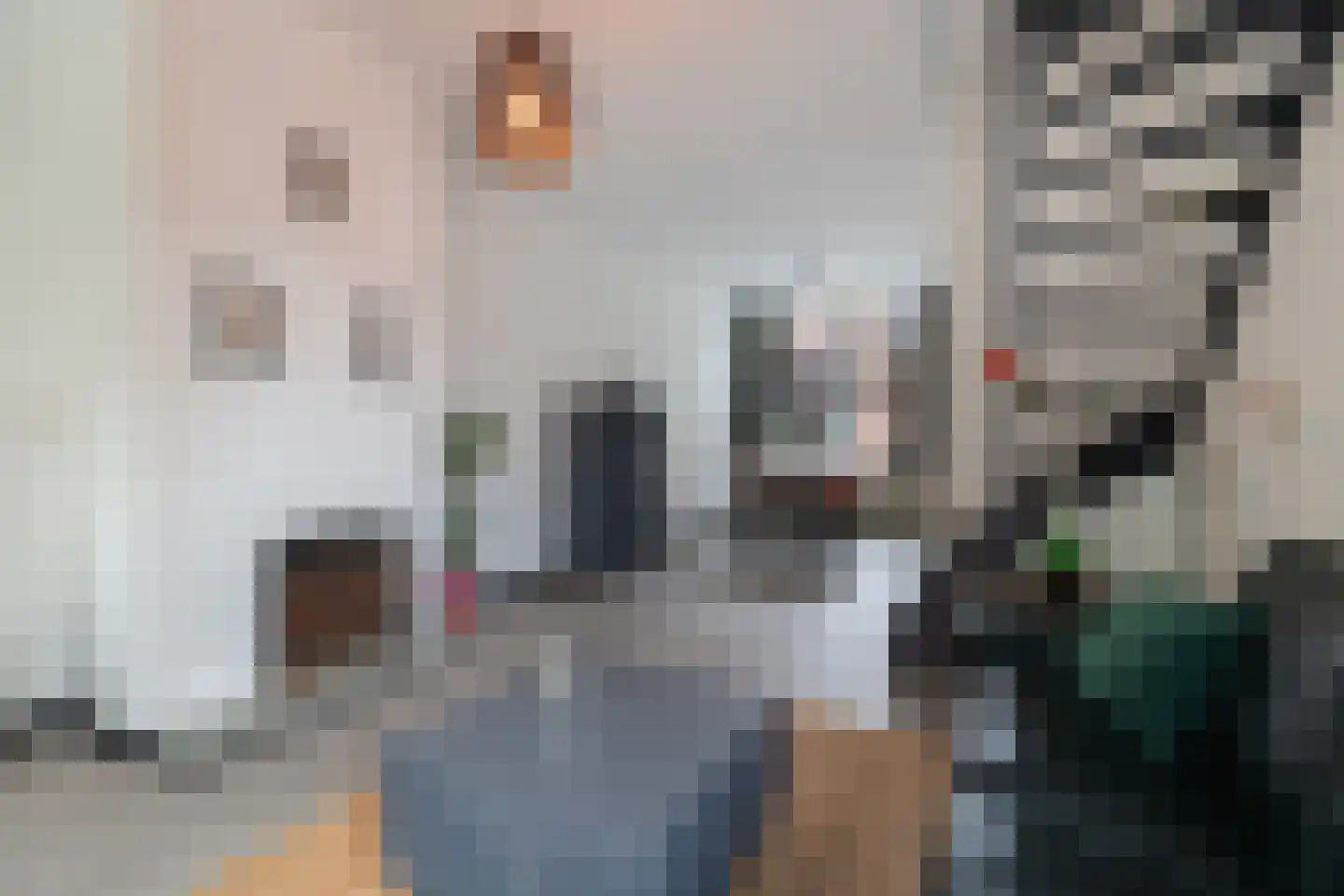 Druivenlaan 41 Alkmaar thumbnail 11