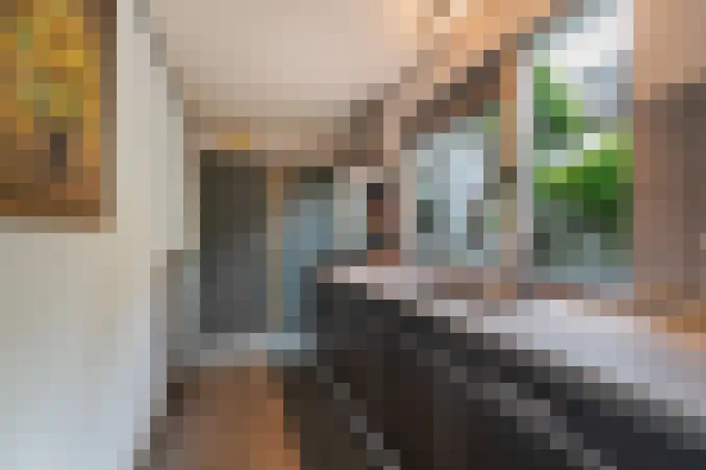 Druivenlaan 41 Alkmaar thumbnail 18