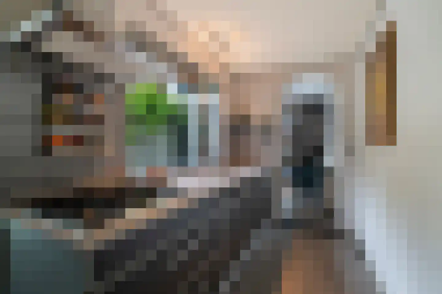 Druivenlaan 41 Alkmaar thumbnail 19
