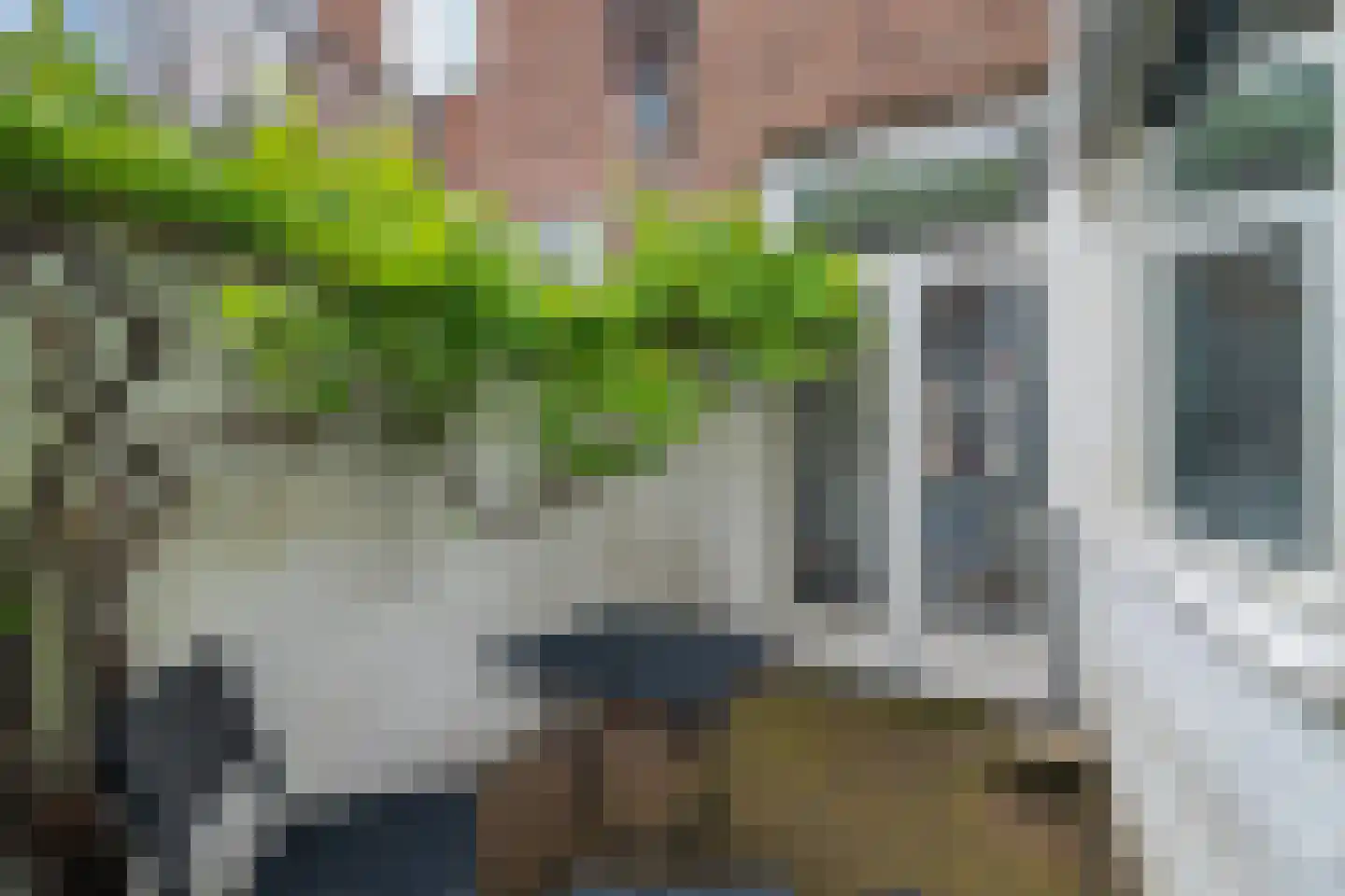 Druivenlaan 41 Alkmaar thumbnail 20