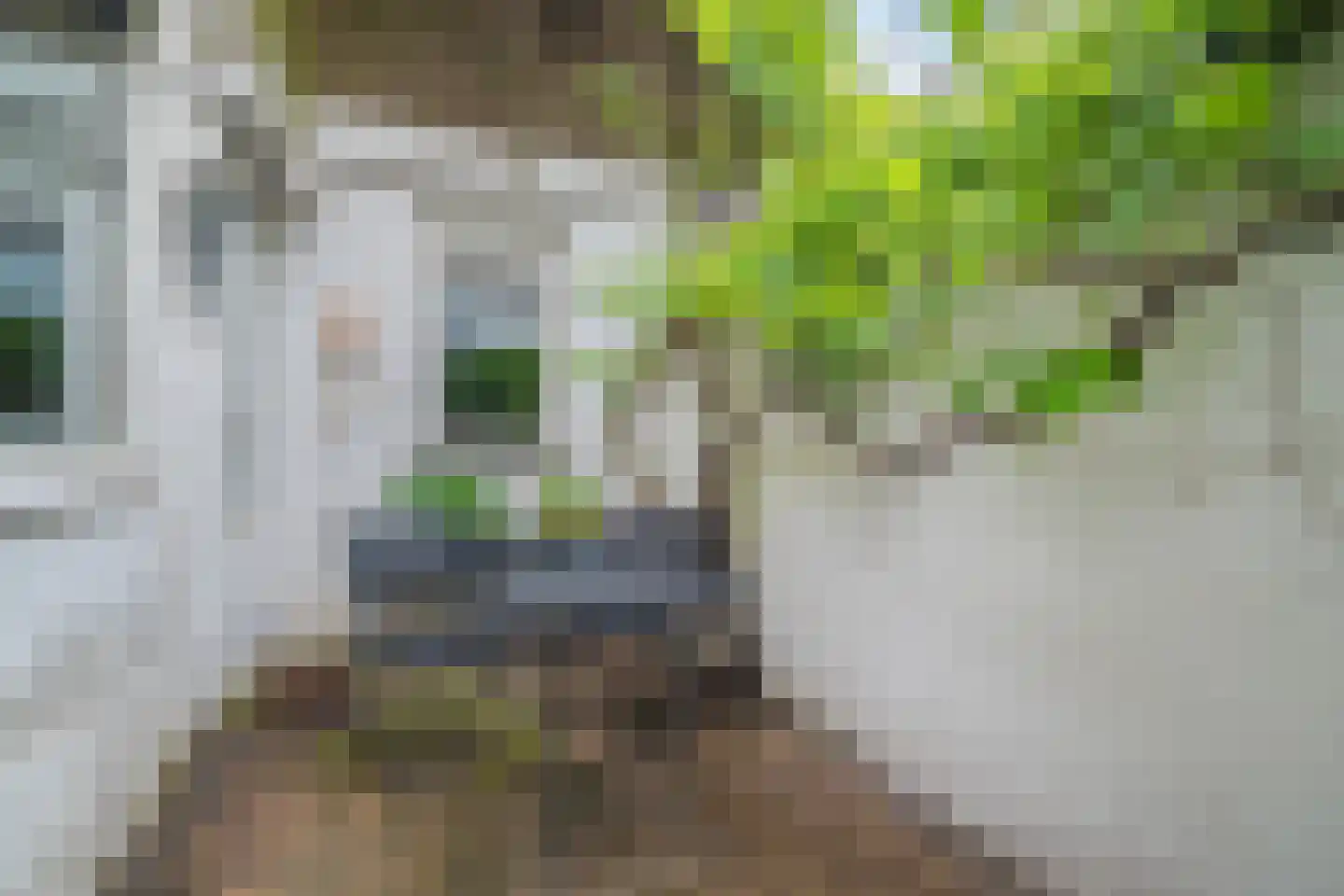 Druivenlaan 41 Alkmaar thumbnail 21