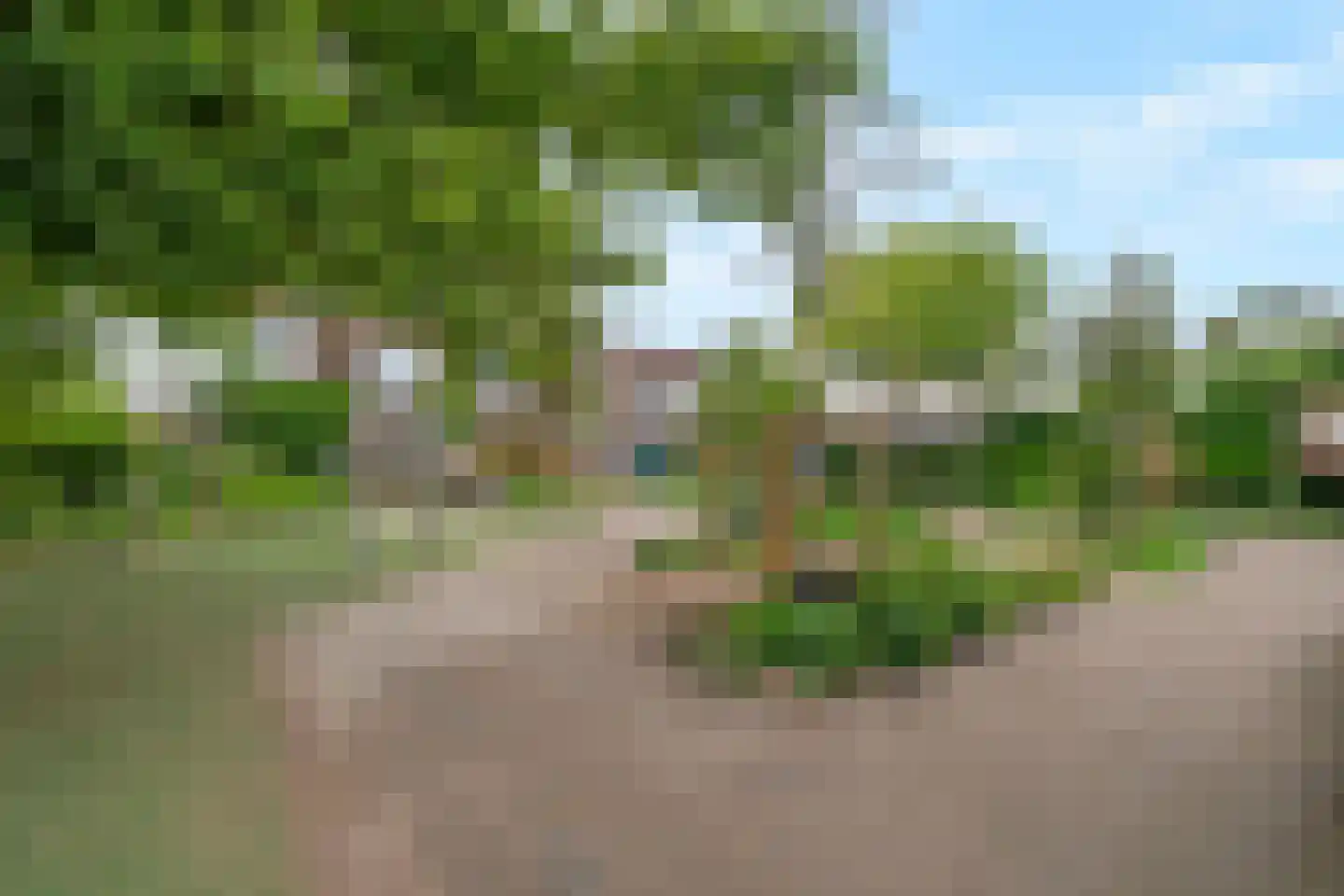 Druivenlaan 41 Alkmaar thumbnail 36