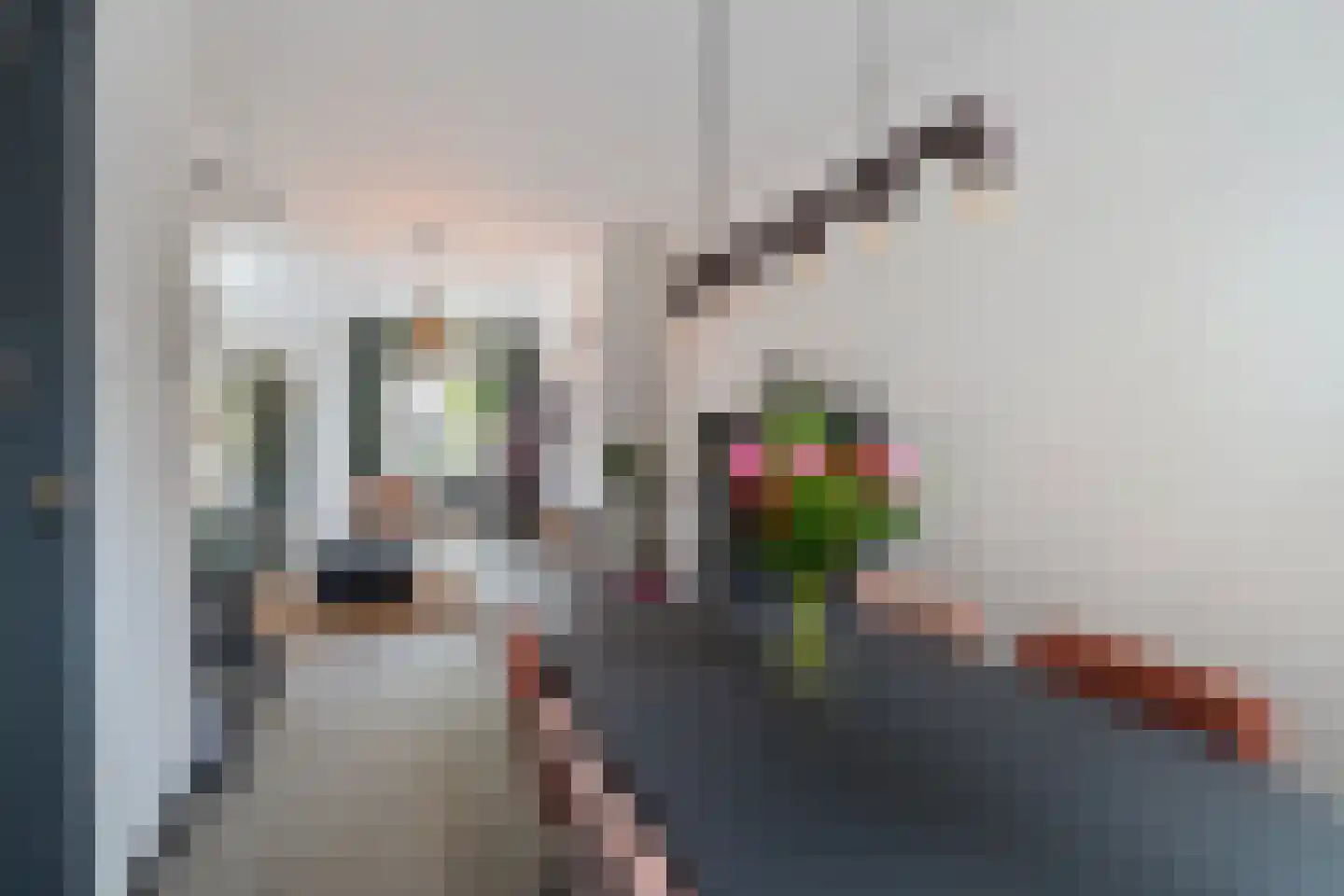 Druivenlaan 41 Alkmaar thumbnail 9