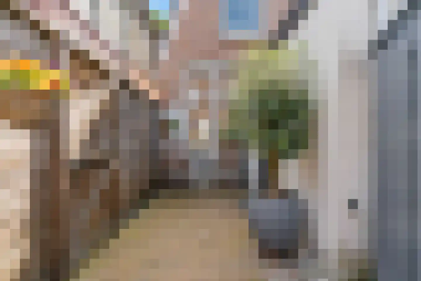 Druivenlaan 42 Alkmaar thumbnail 24