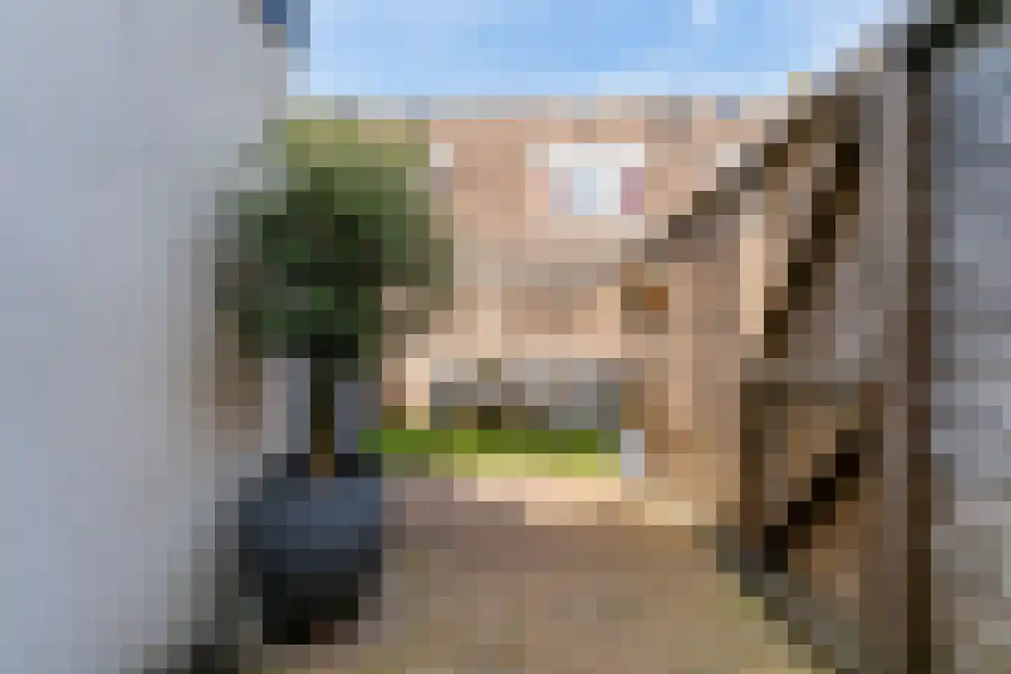 Druivenlaan 42 Alkmaar thumbnail 26