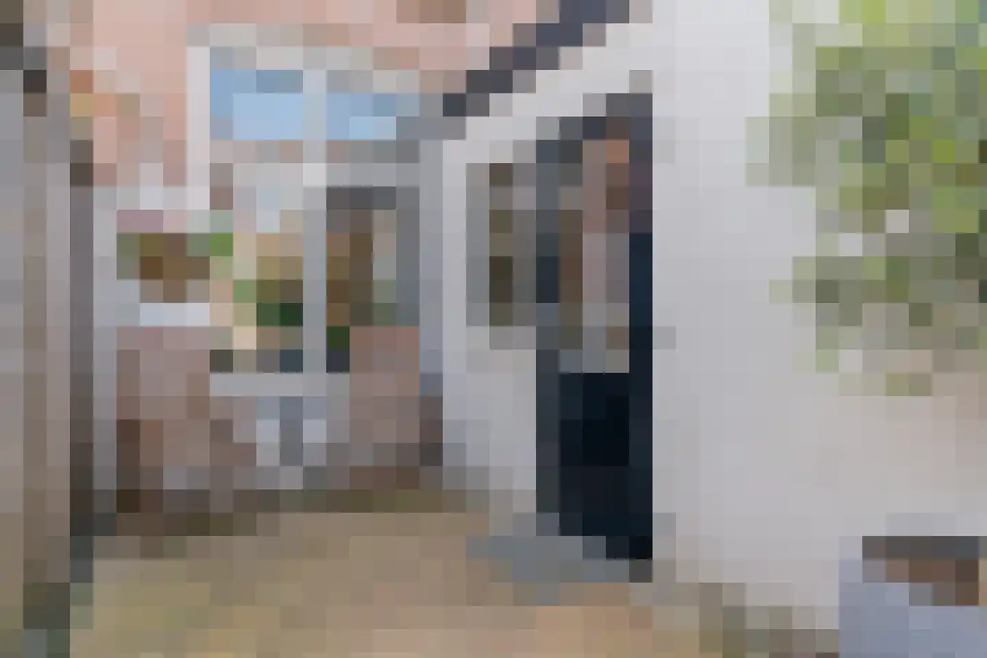 Druivenlaan 42 Alkmaar thumbnail 27