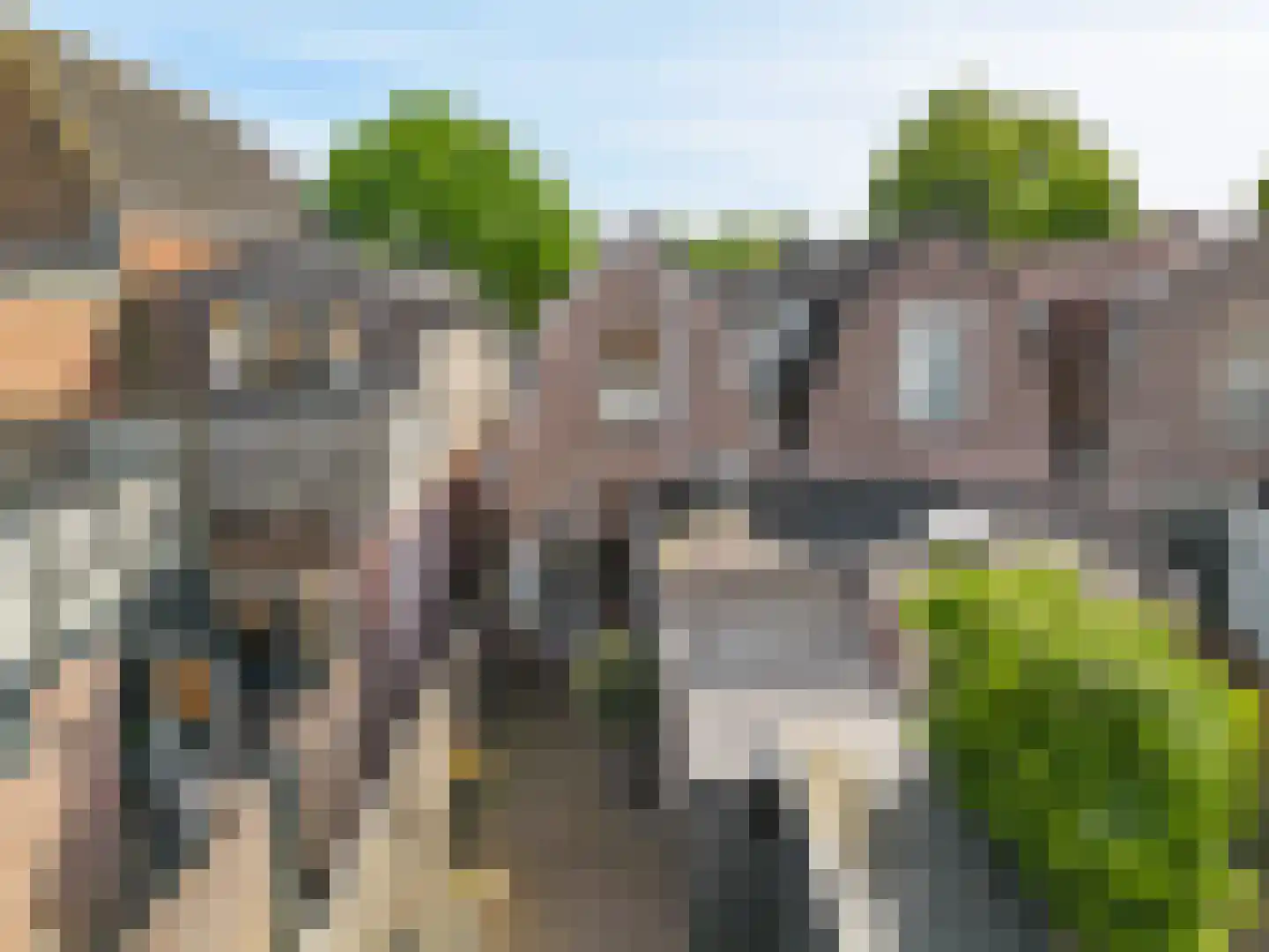 Druivenlaan 42 Alkmaar thumbnail 28