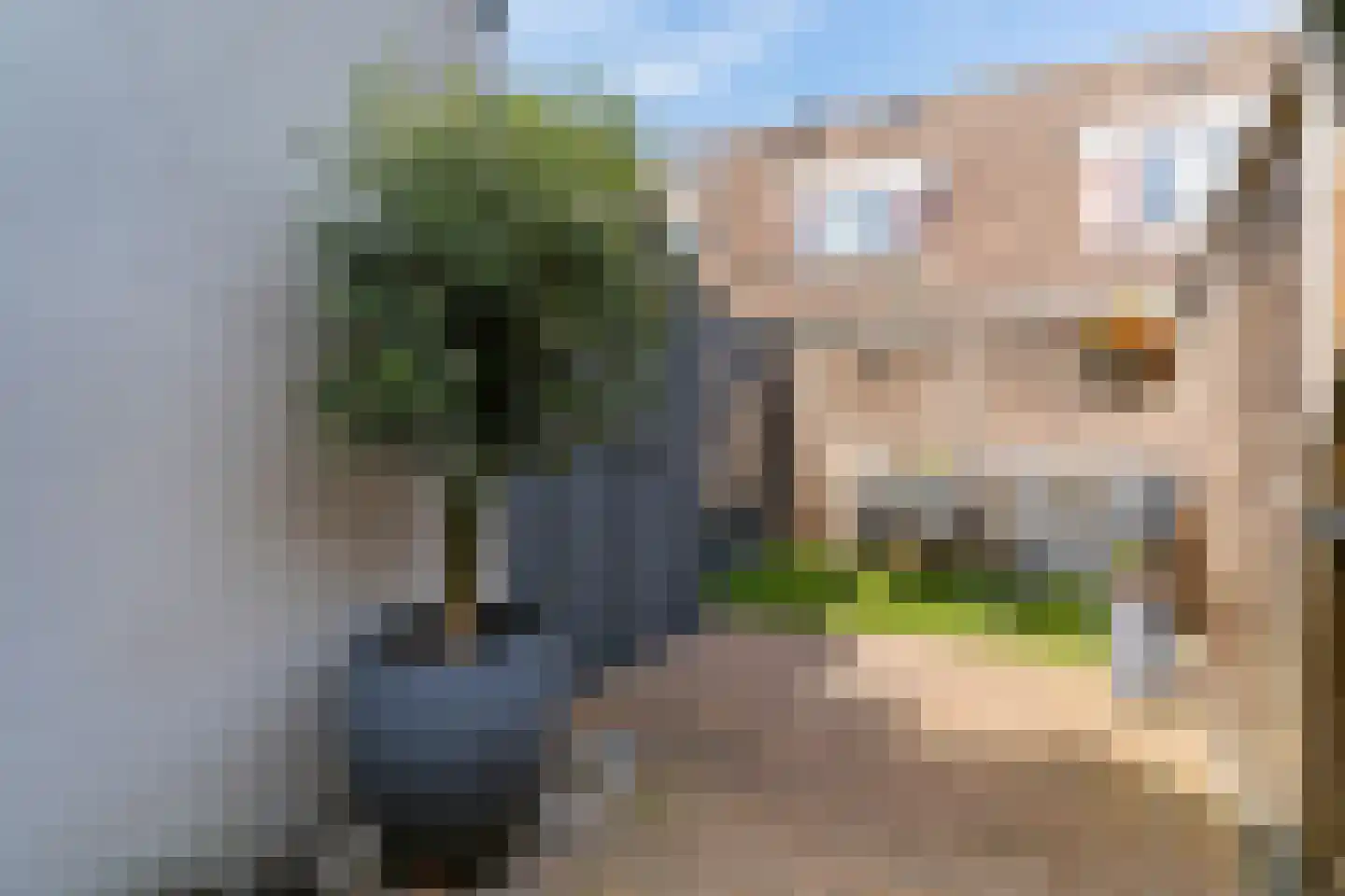 Druivenlaan 42 Alkmaar thumbnail 4