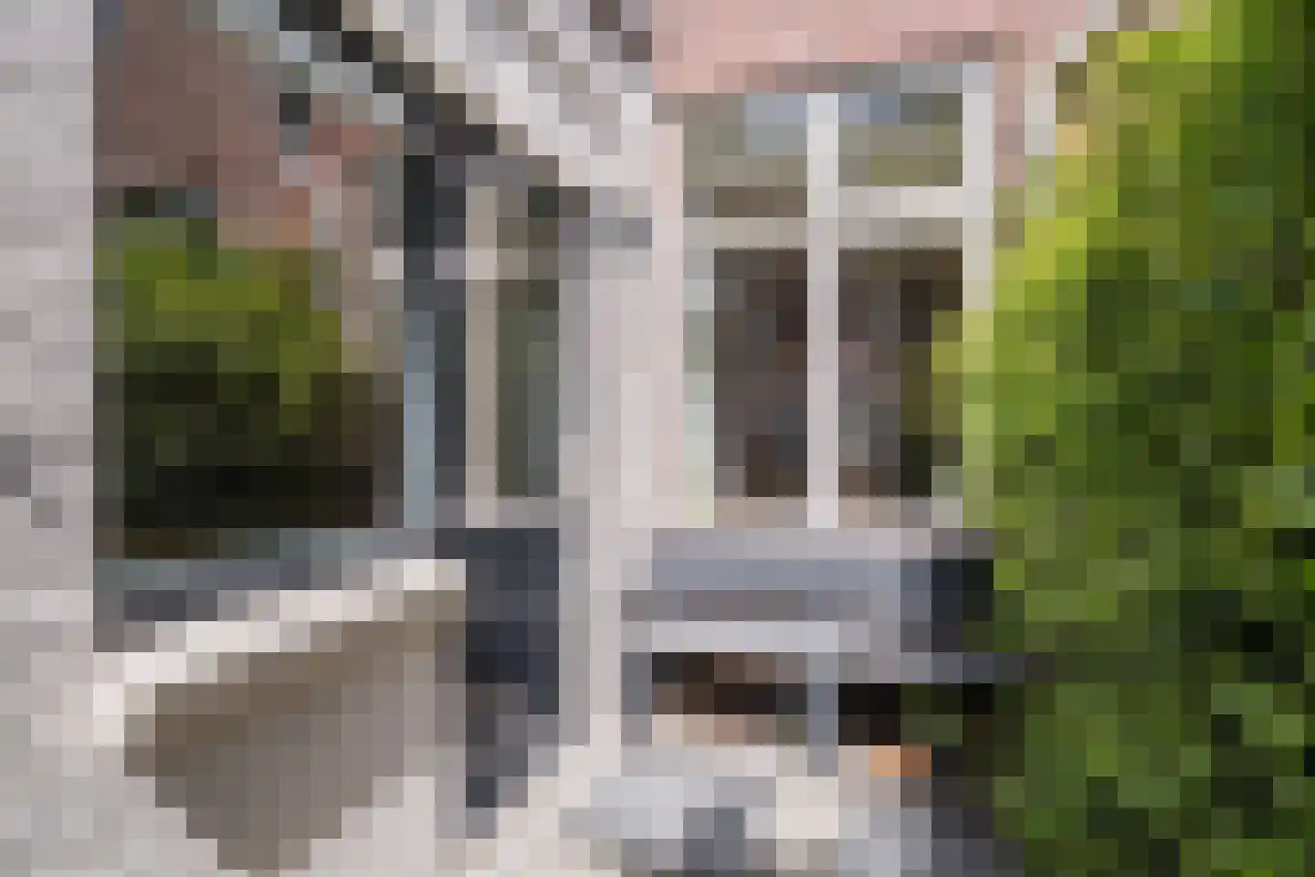 Druivenlaan 43 Alkmaar thumbnail 33