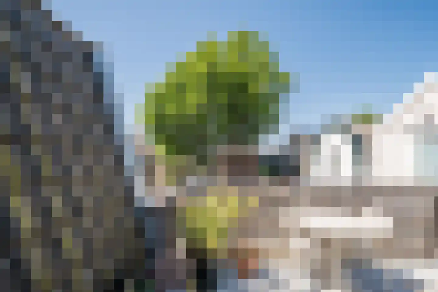 Druivenlaan 43 Alkmaar thumbnail 36