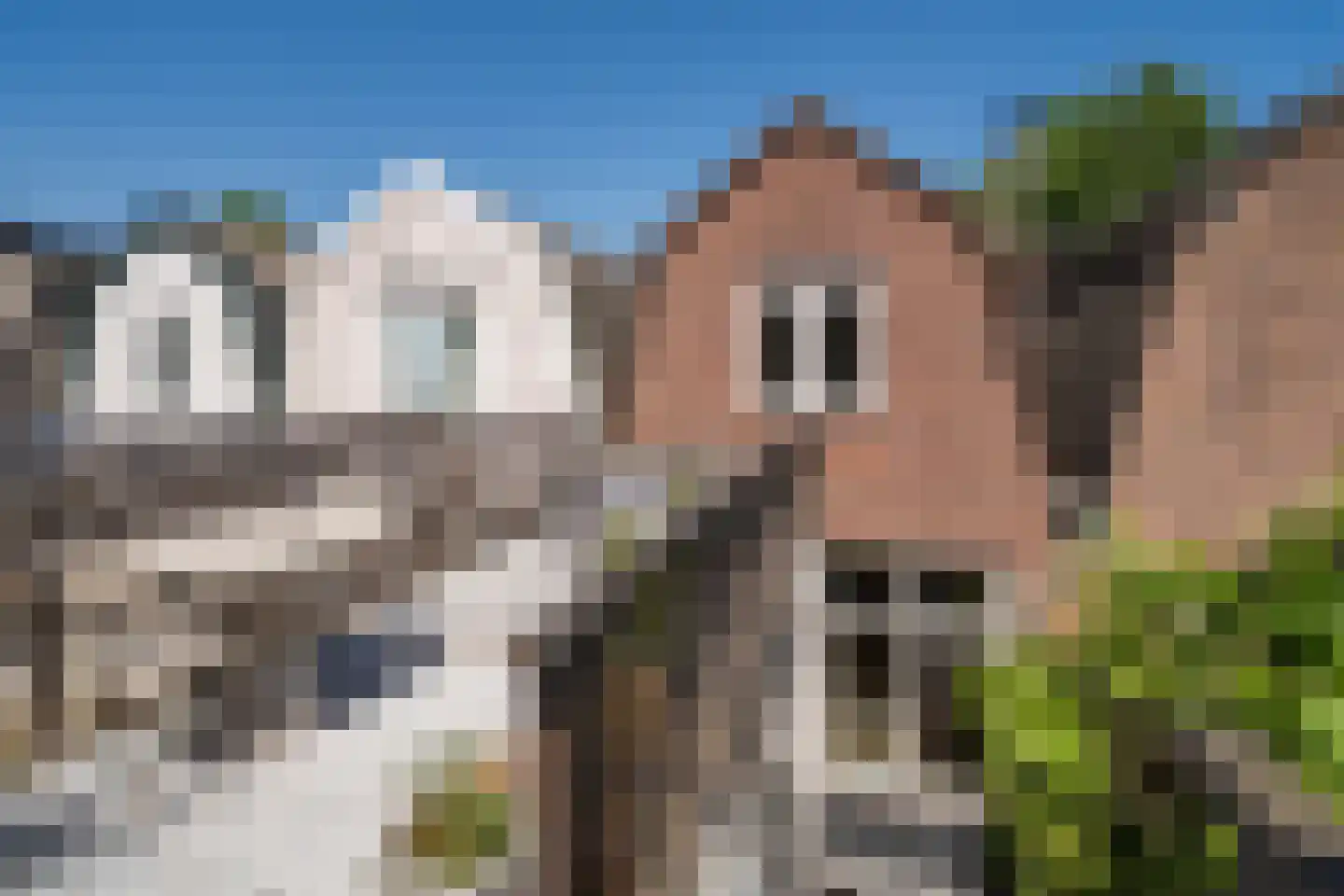 Druivenlaan 43 Alkmaar thumbnail 4