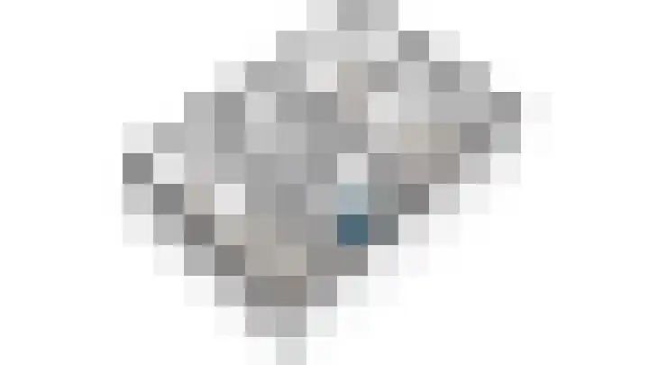 Druivenmuur 11 Delft thumbnail 61